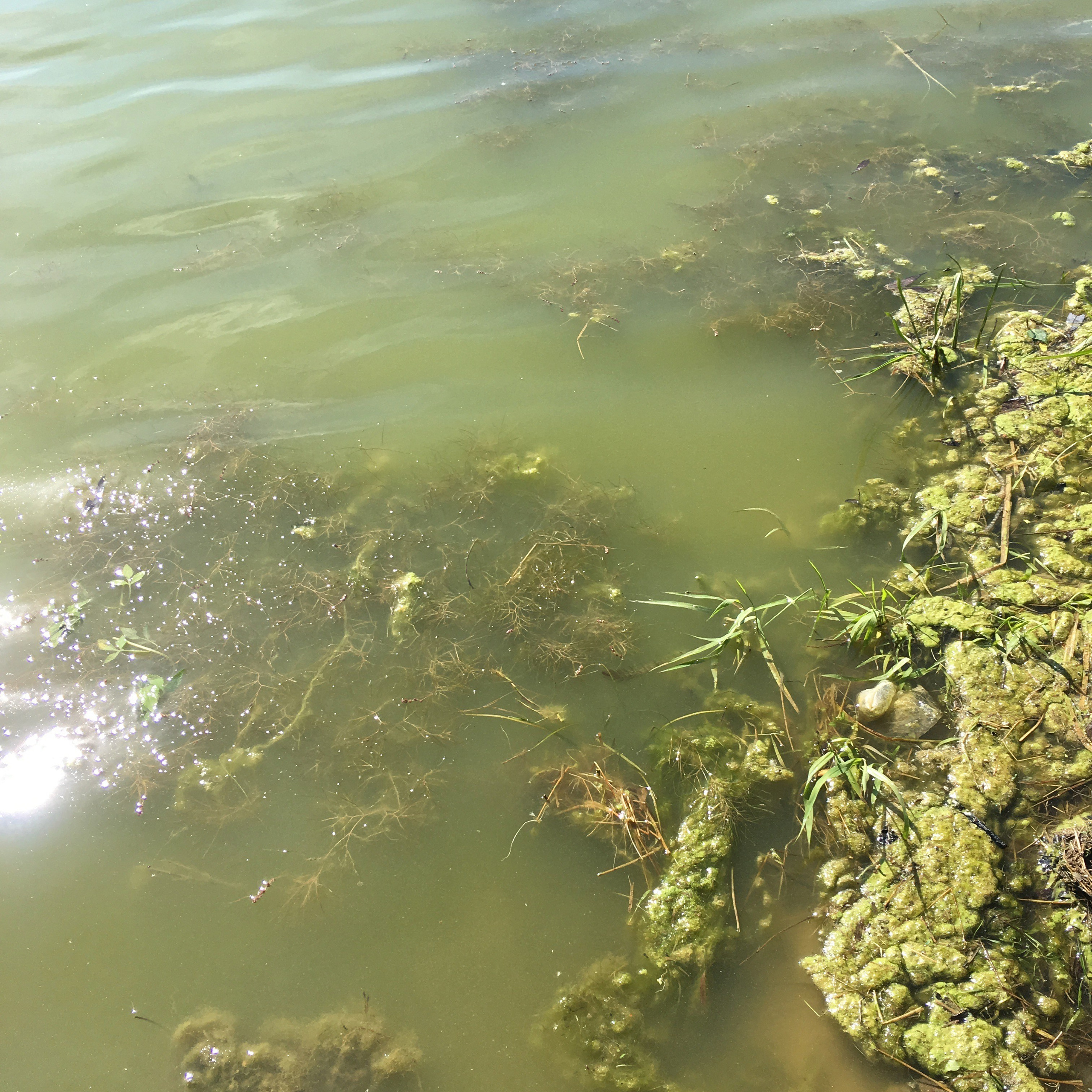 Львовская -18. Своя Мастерская