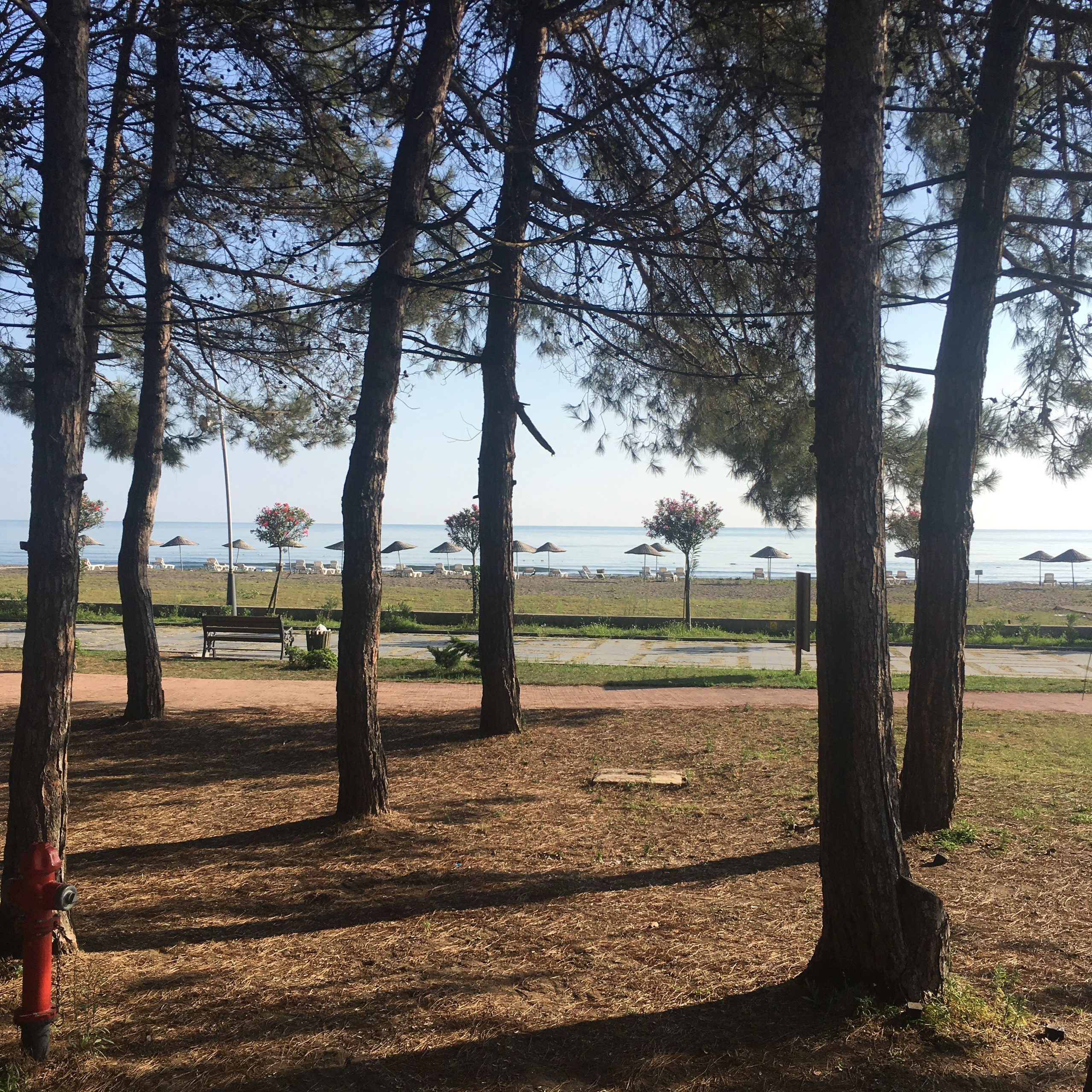 Турция -19. Своя Мастерская