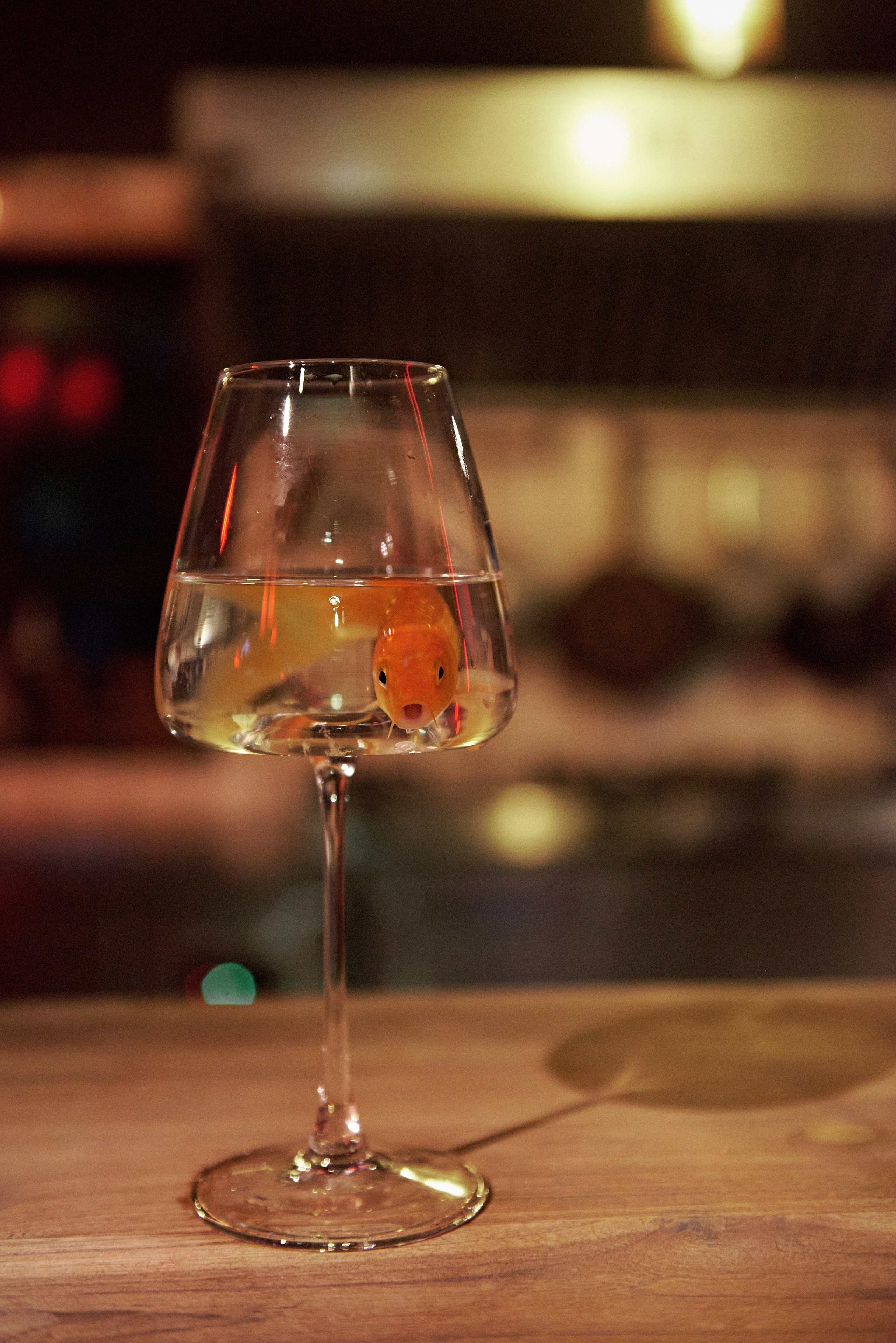 DAO. Свадебный фотограф Юлия Гусева