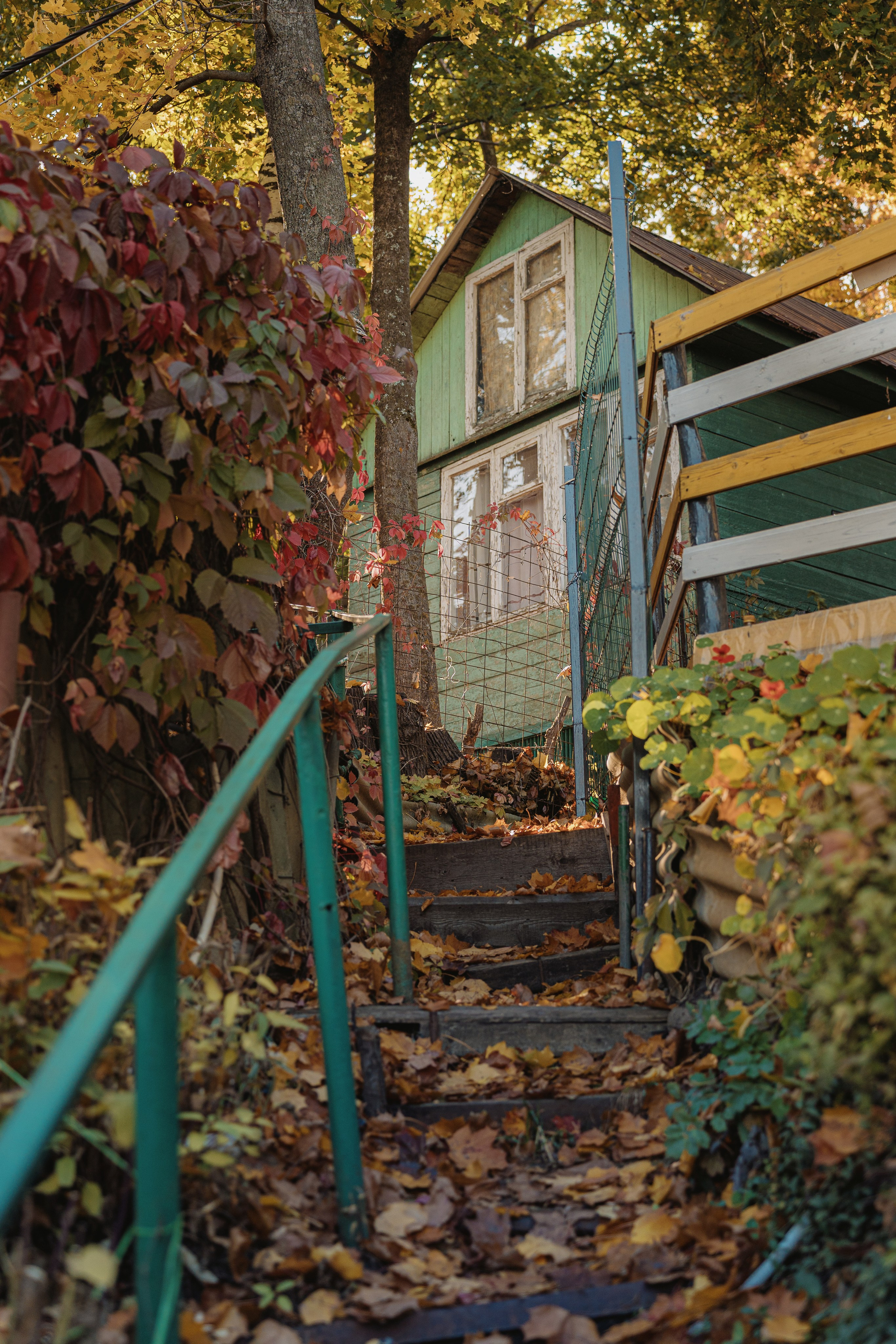 Осенний пресет для фотографий. Свадебный и репортажный фотограф в Воронеже Роман Янко