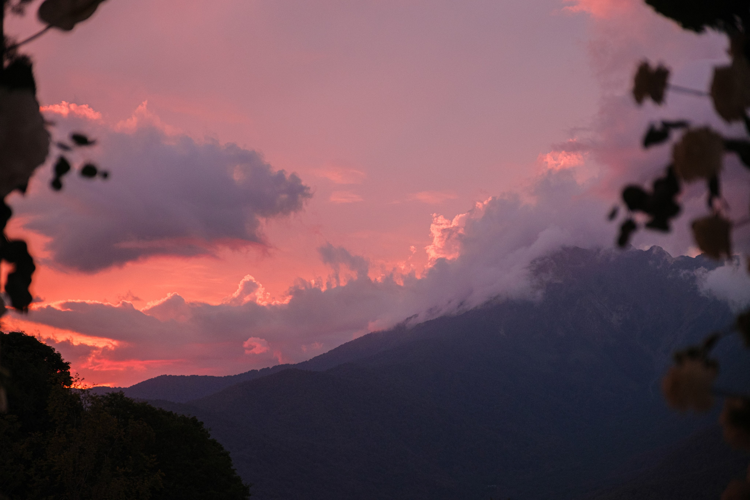 Виктория / Евгений. Свадебный Видеограф Фотограф в Сочи