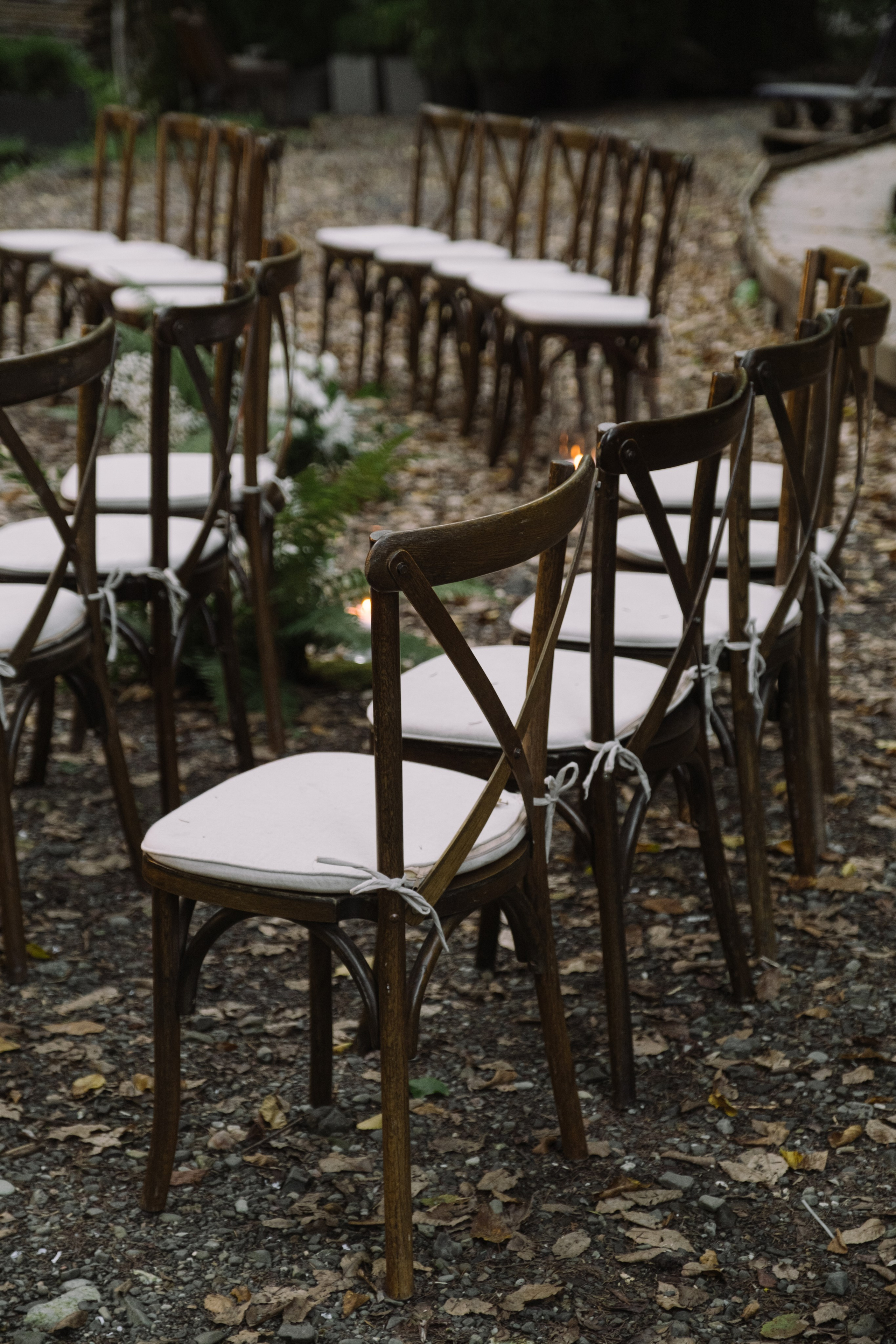 Кот и Дракон. Свадебный Видеограф Фотограф в Сочи