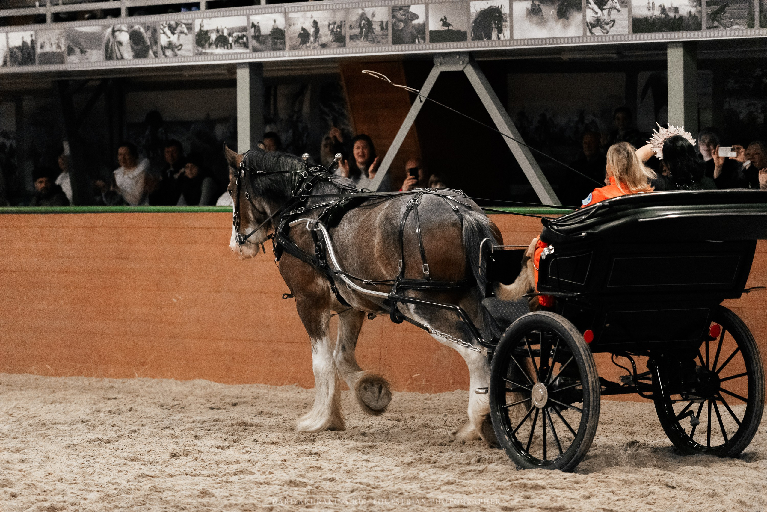 Конное представление «Дыхание Звёзд». Конный фотограф Куракина Дарья • Фотосессии с лошадьми