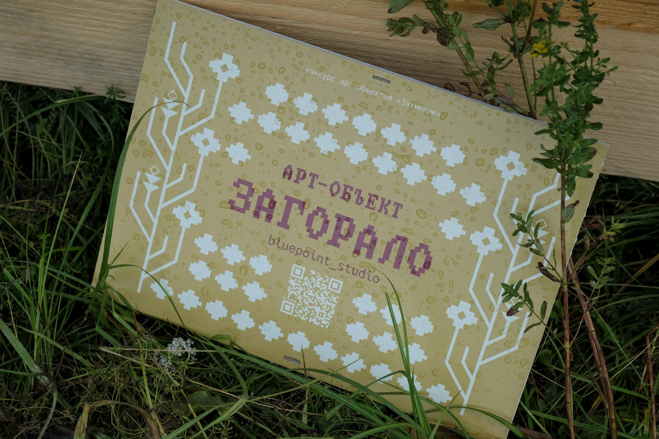 Фестиваль «Бессонница» 2025. Семейный и детский фотограф в Москве Светлана Потемкина