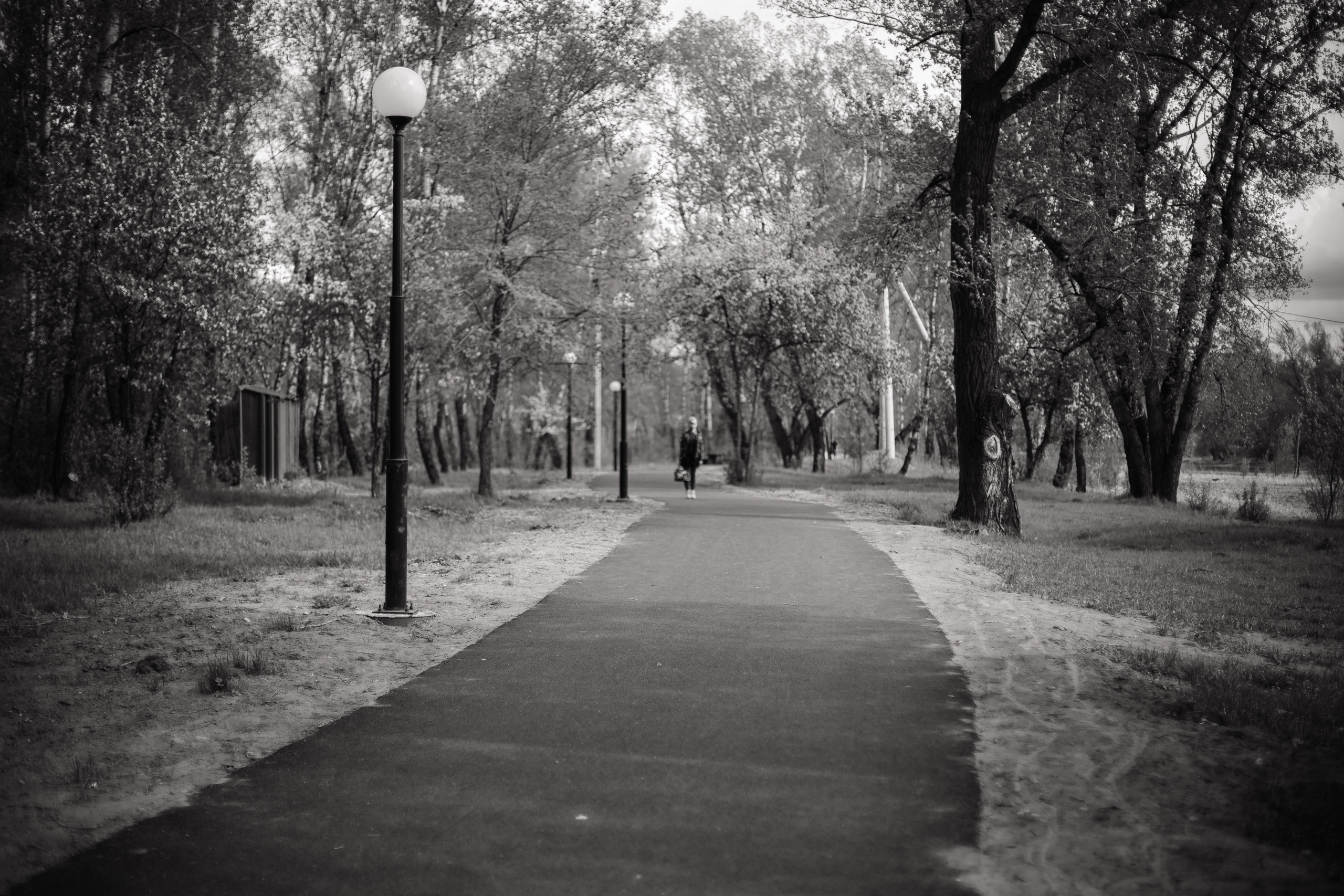 Яблони. Фотограф в Абакане Николай Окунев