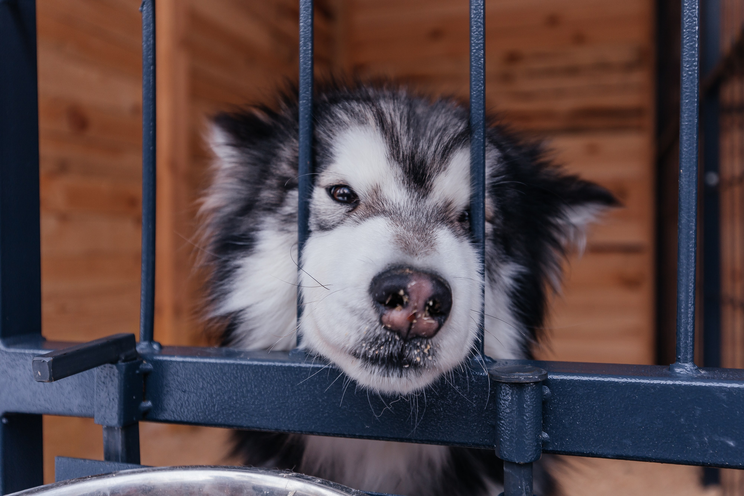 Jaecoo J7 6.0. Фотограф в Самаре / Олеся Широнина