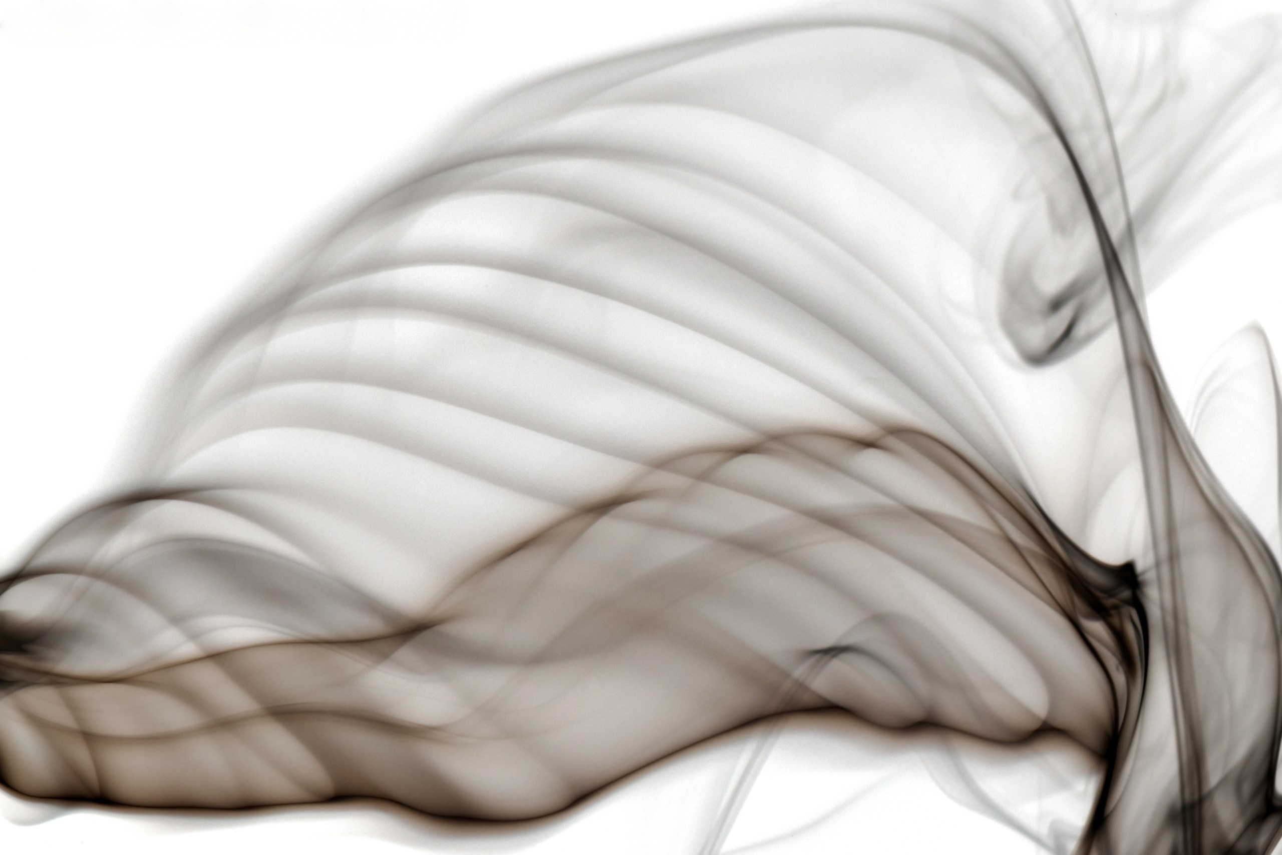 Дым. Скульптуры из воды Сергея Толмачева