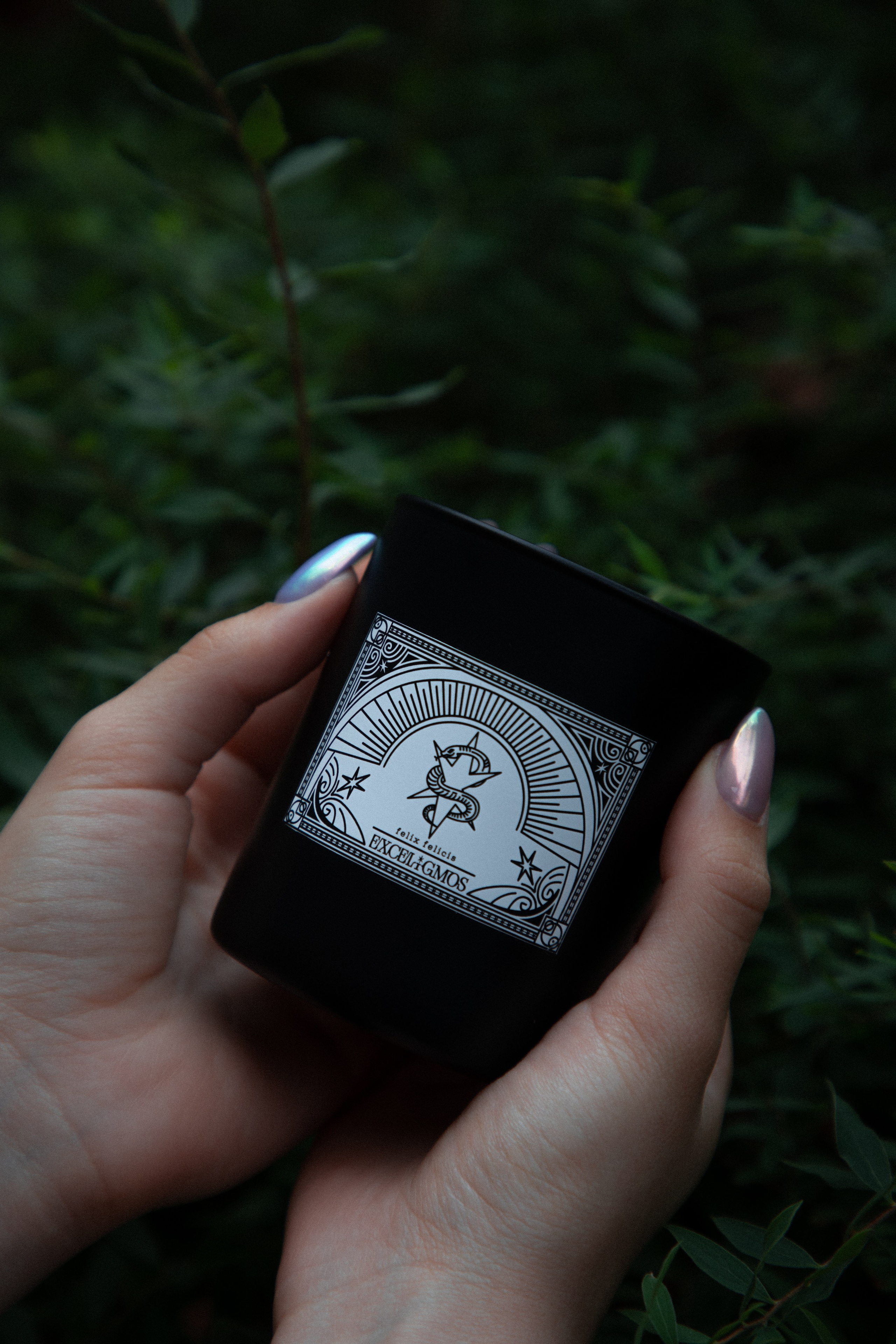 Exceligmos. Фотограф Анастасия Сонина