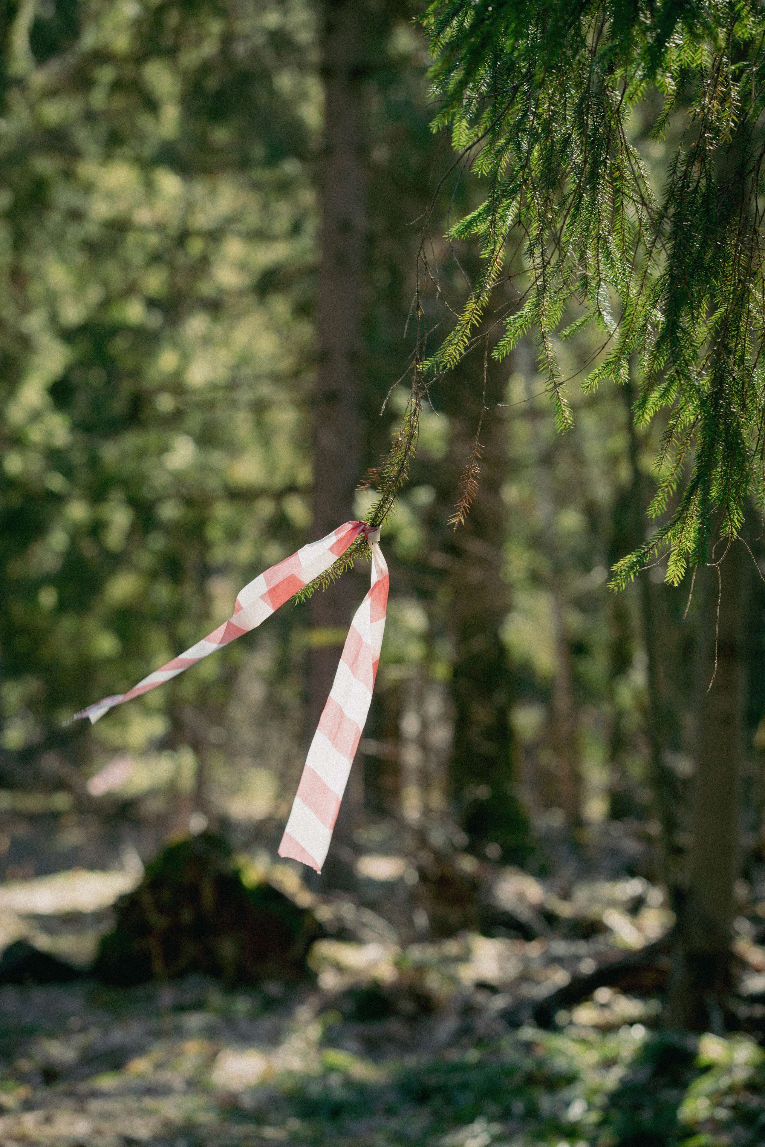 Open Band trail «Лед». Александра Мельниченко/ Бегающий фотограф