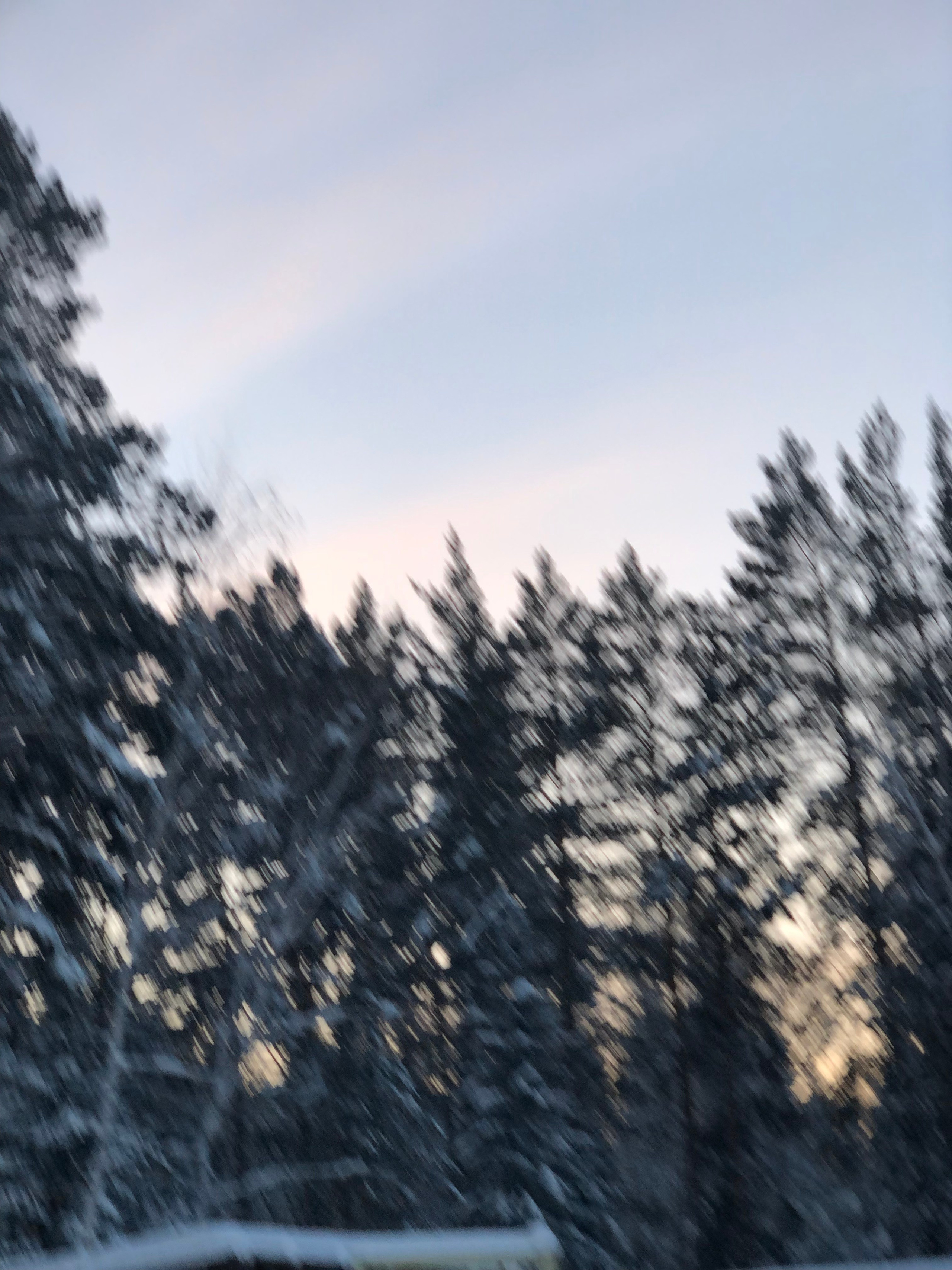 Декабрь. Семейный, Свадебный фотограф СПБ Питер— Романова Екатерина