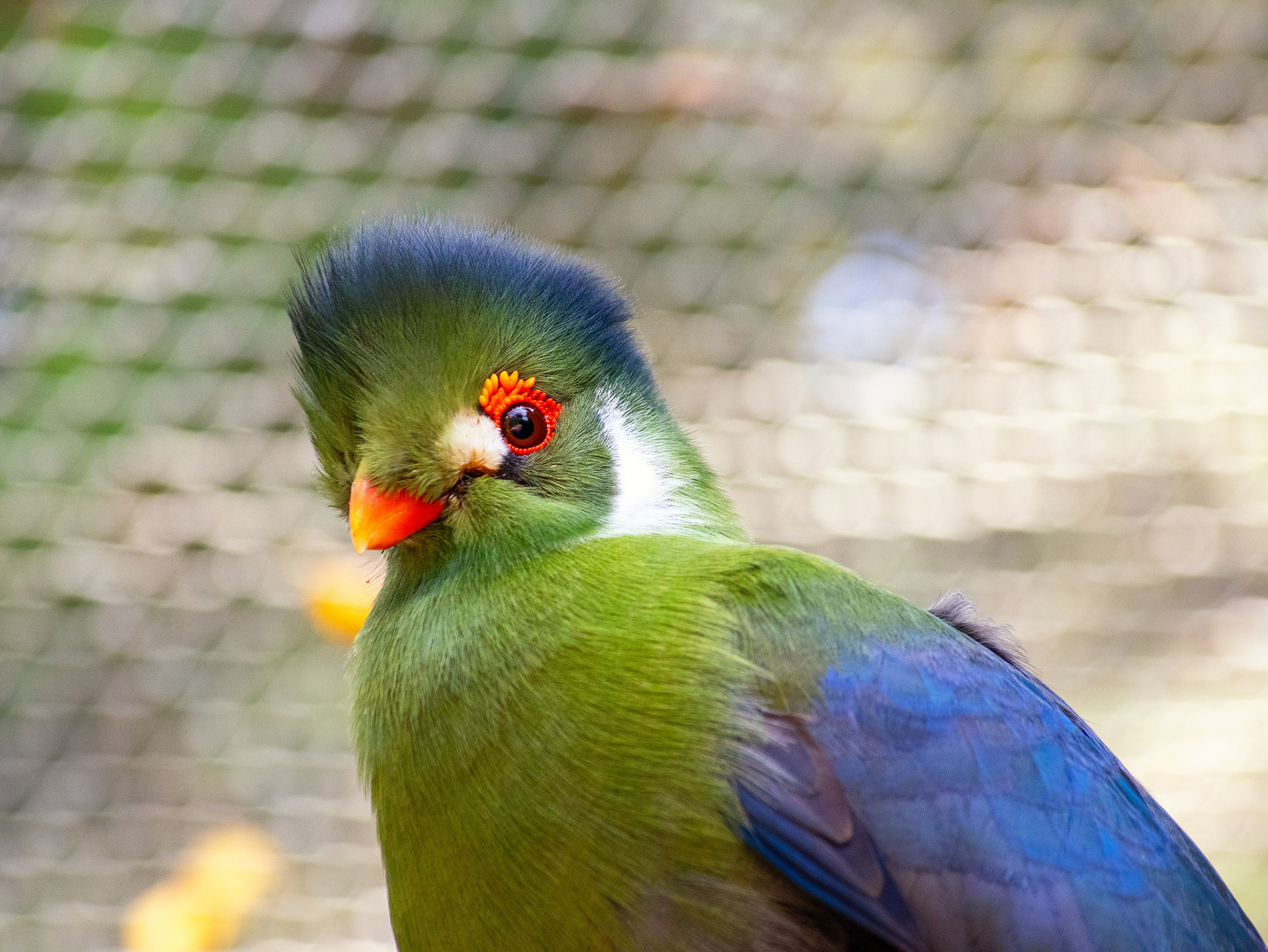 Истории. Фотограф Сергей Мосевнин