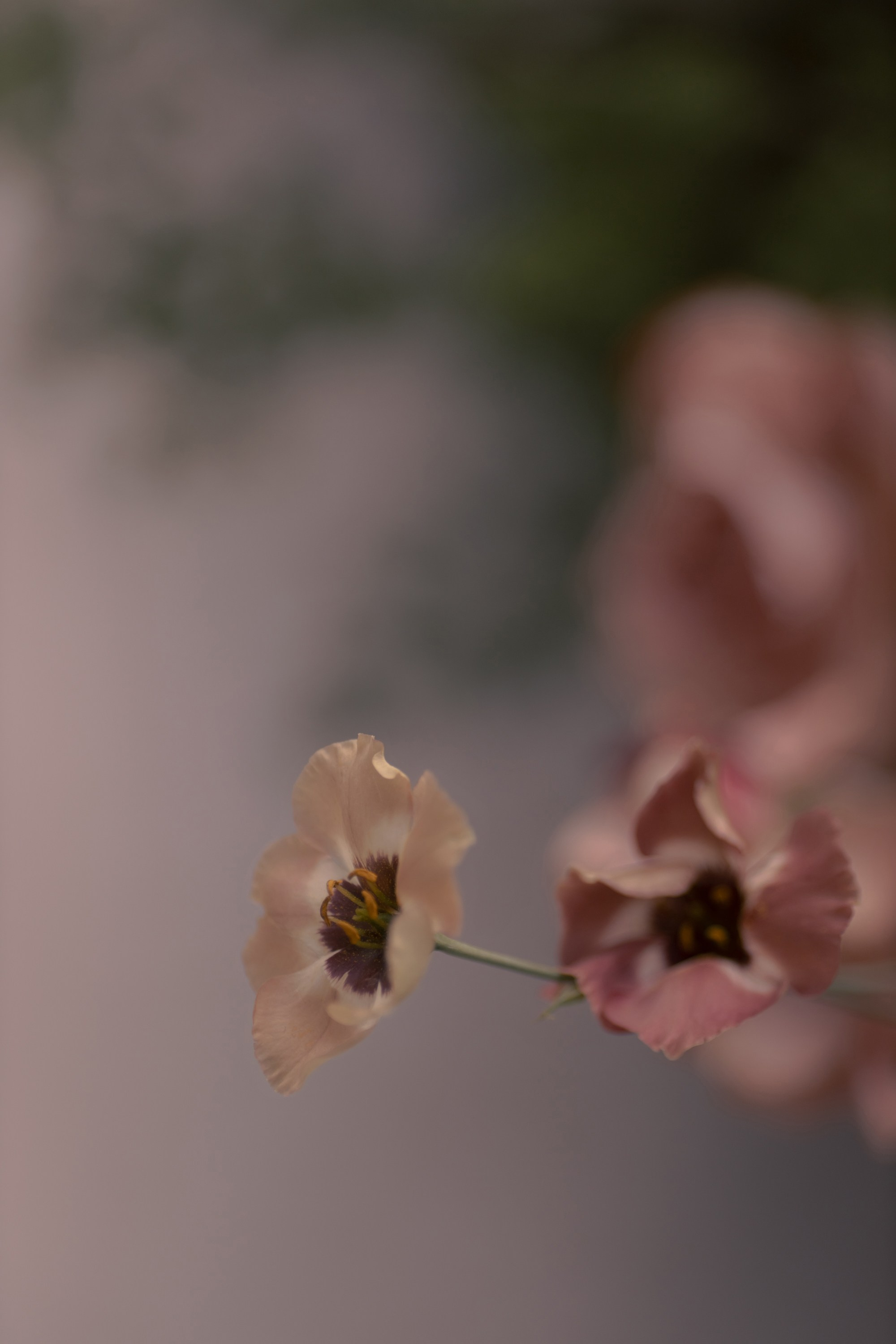 В | M. Свадебный фотограф Капаева Виктория