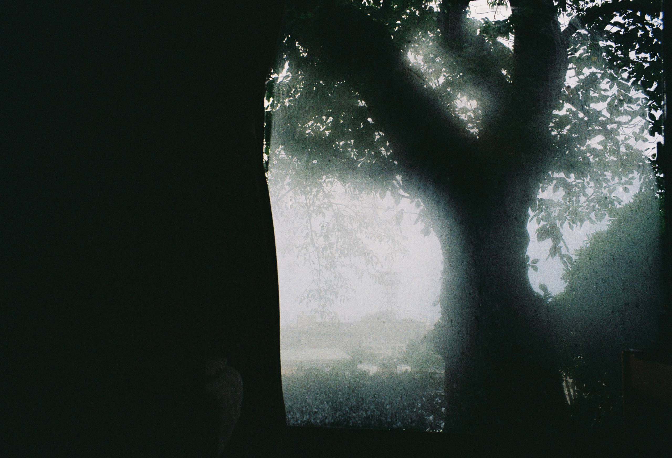 Дни и ночи Японии