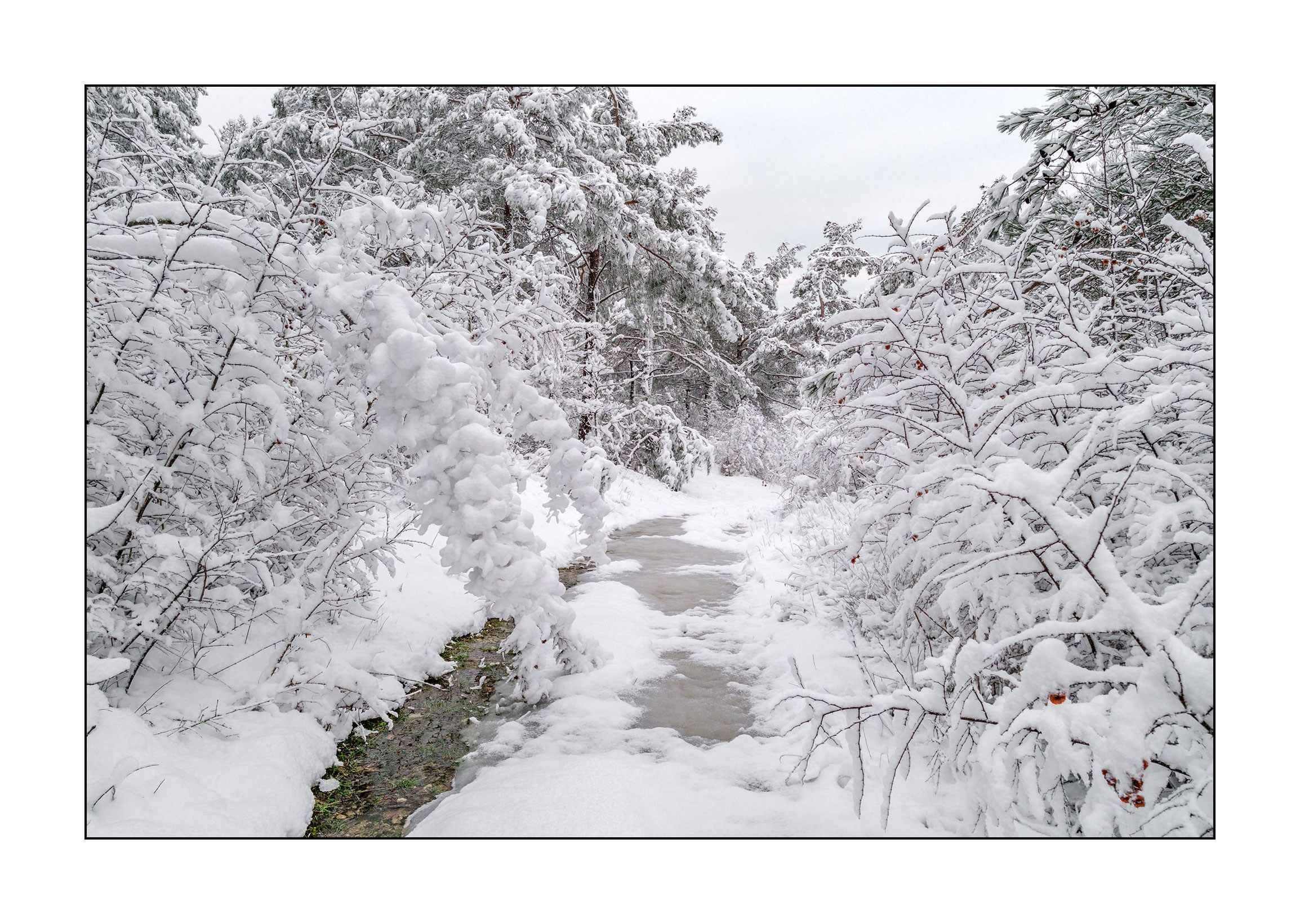 фотограф Геленджик
