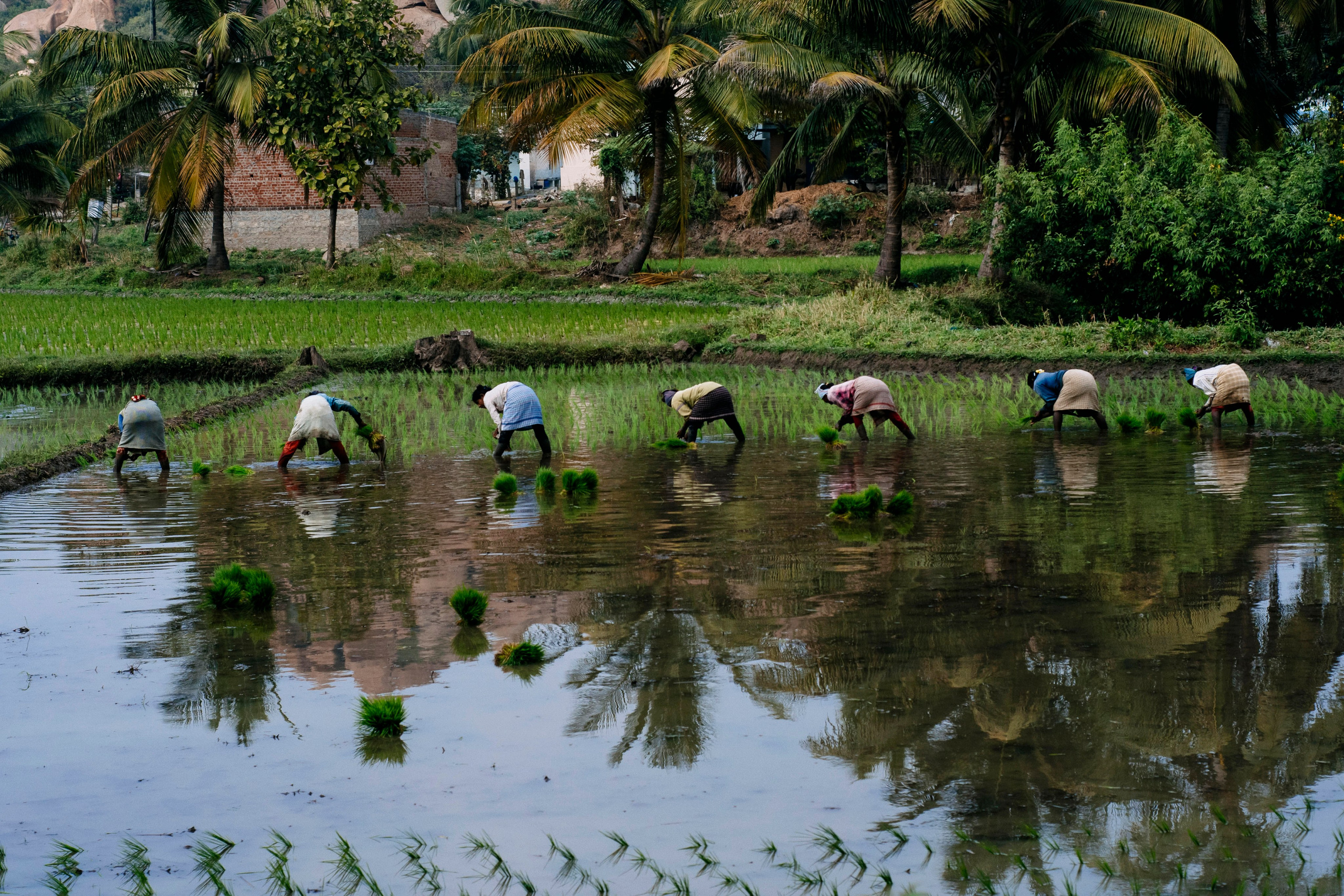 Hampi street. Iraogo