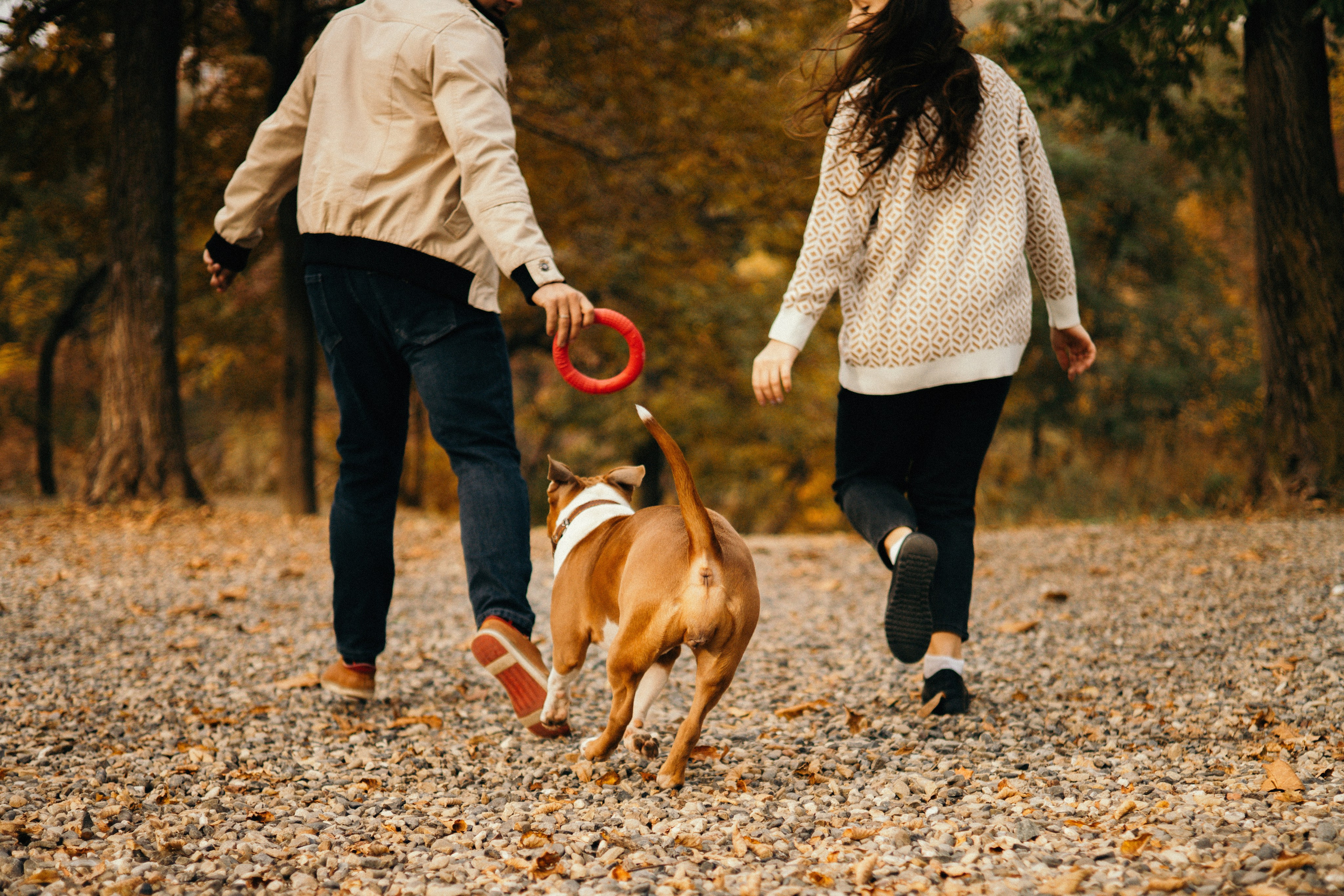 Лаффи и ее семья. Фотограф — анималист Владивосток, Алина