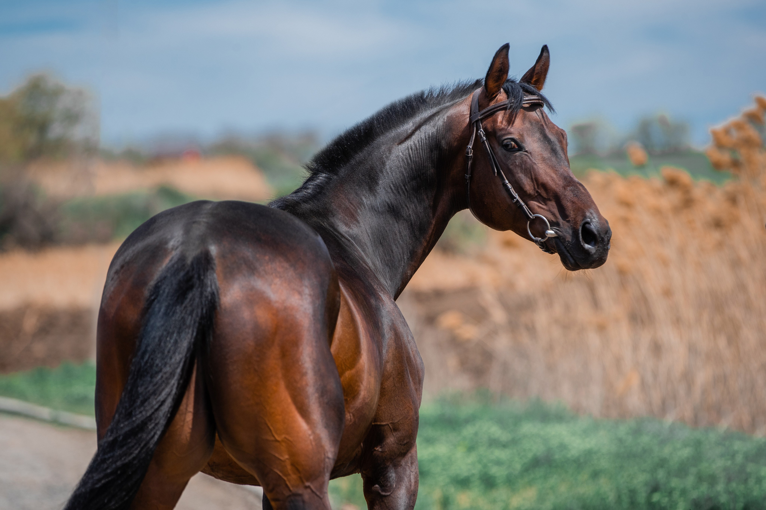 На природе. Фотограф-анималист Ксендзова Кристина