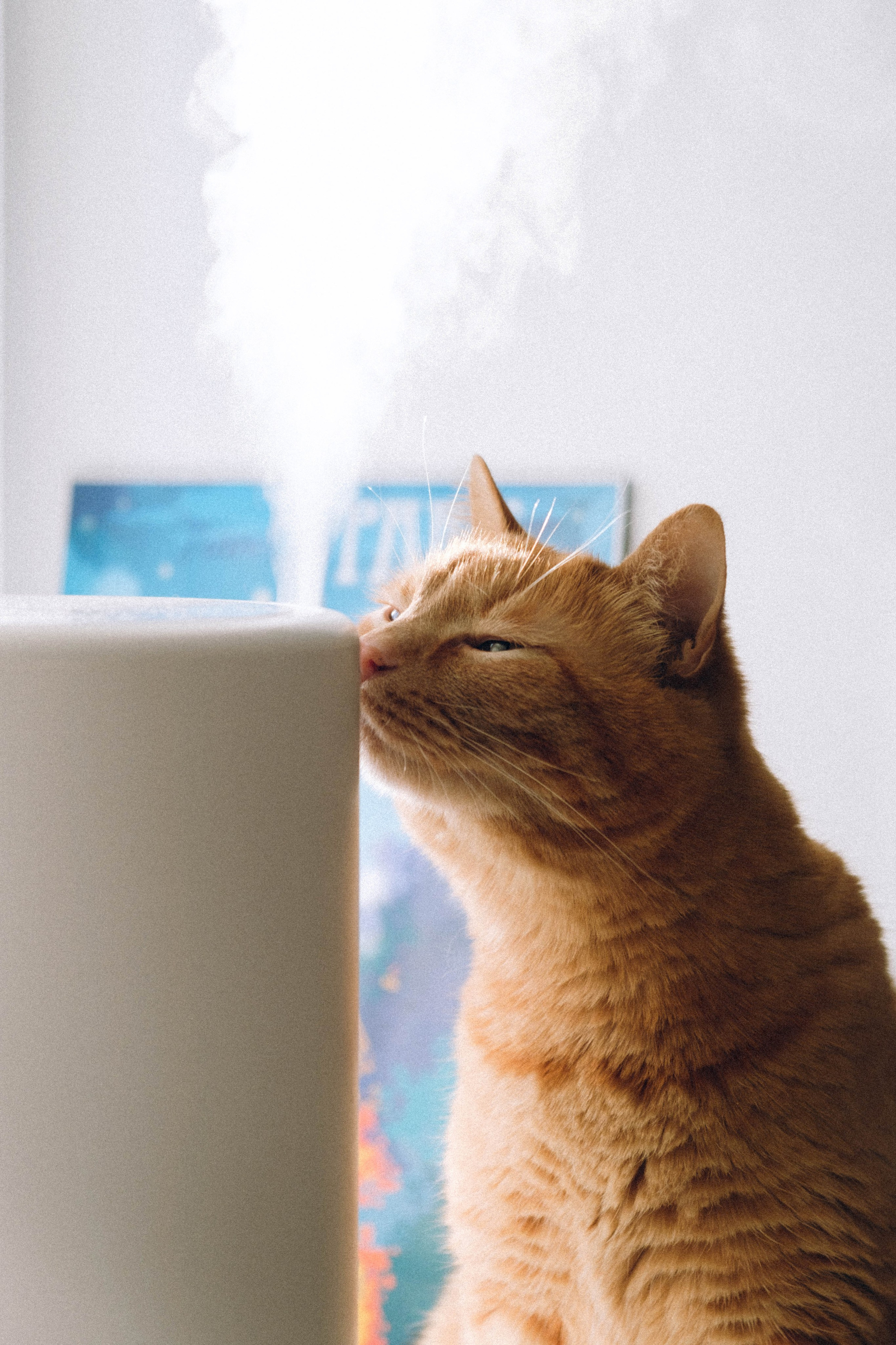 Замечательная повседневность. Контент-фотограф и видеограф в Перми