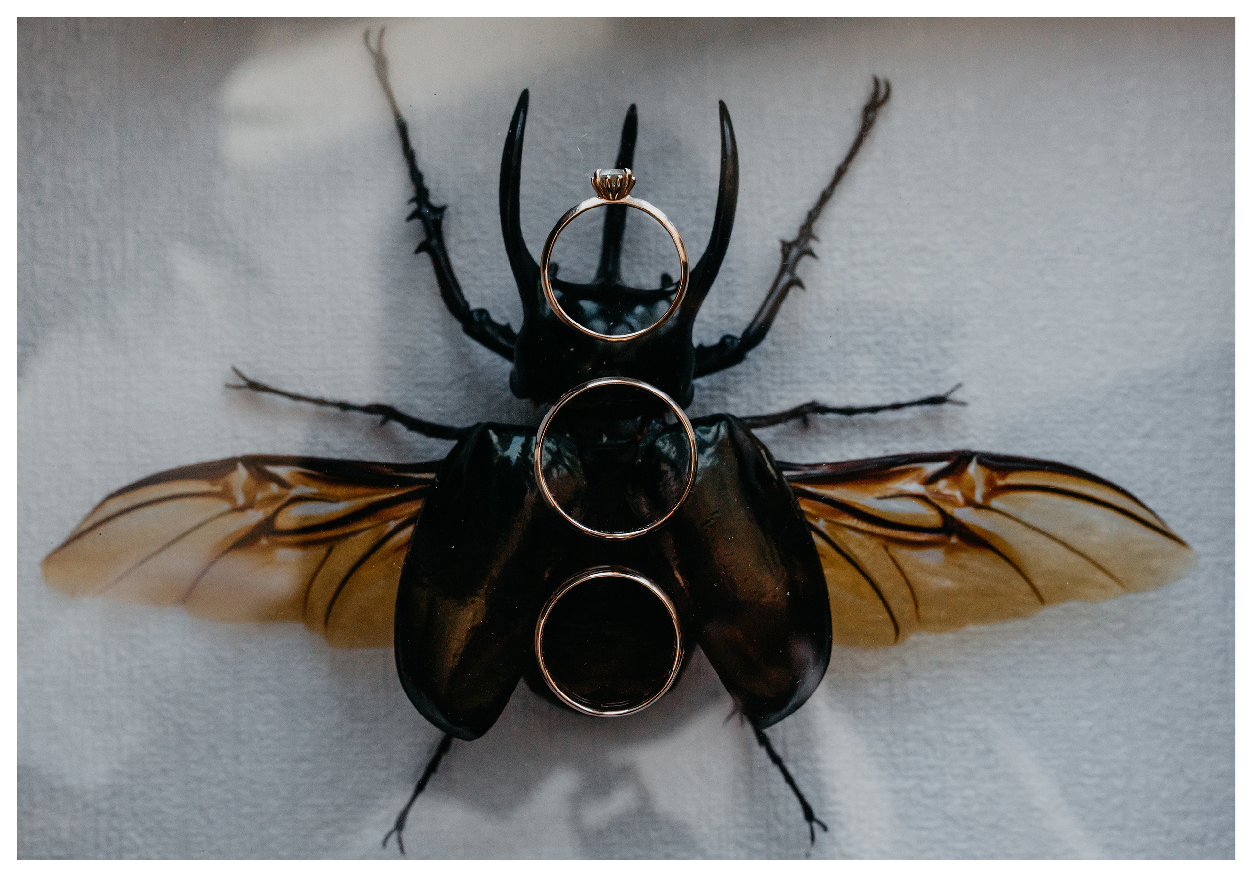 Свадебная фотосессия в Костроме. Фотограф ваших событий