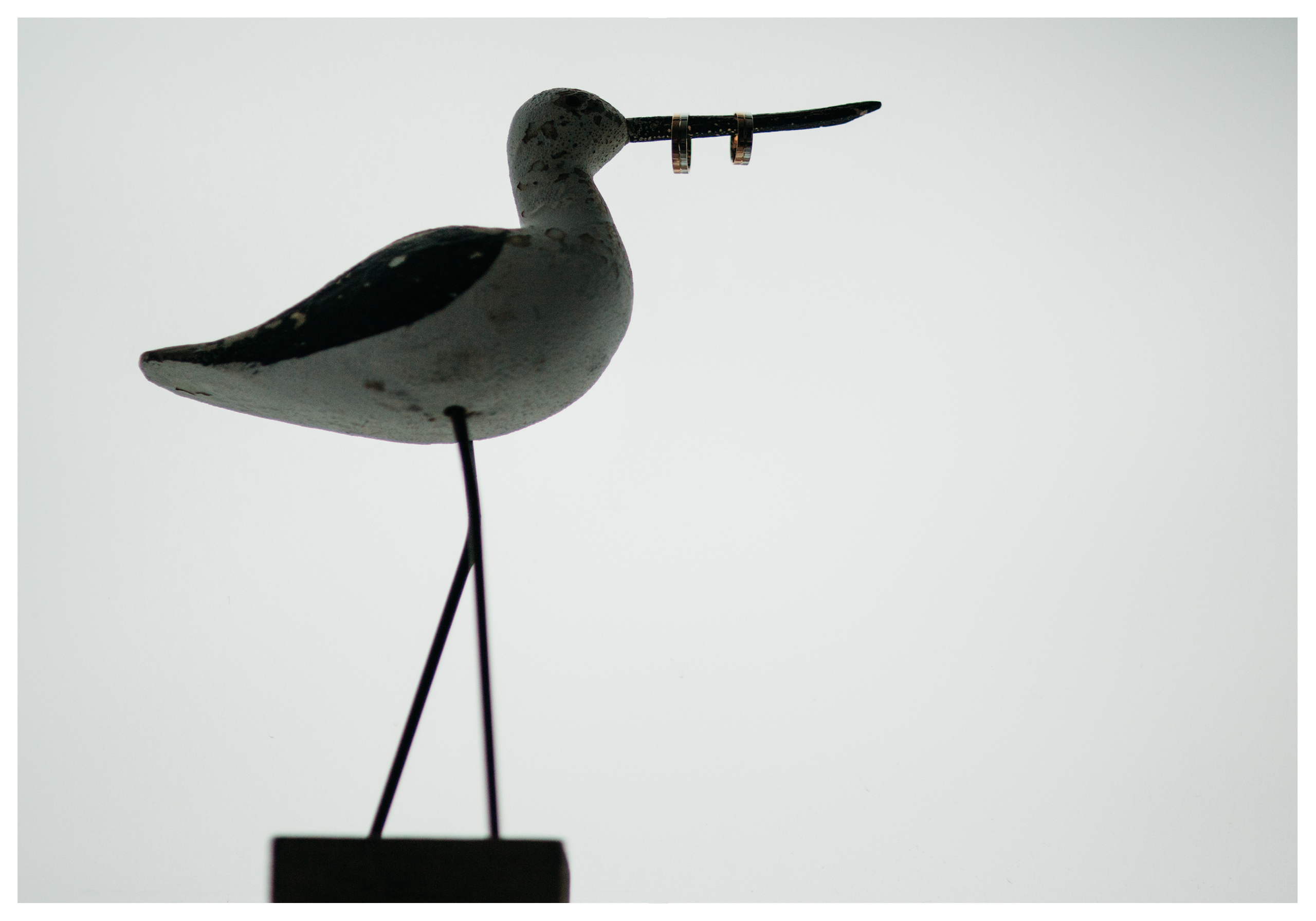 Свадебная фотосъемка. Фотограф ваших событий