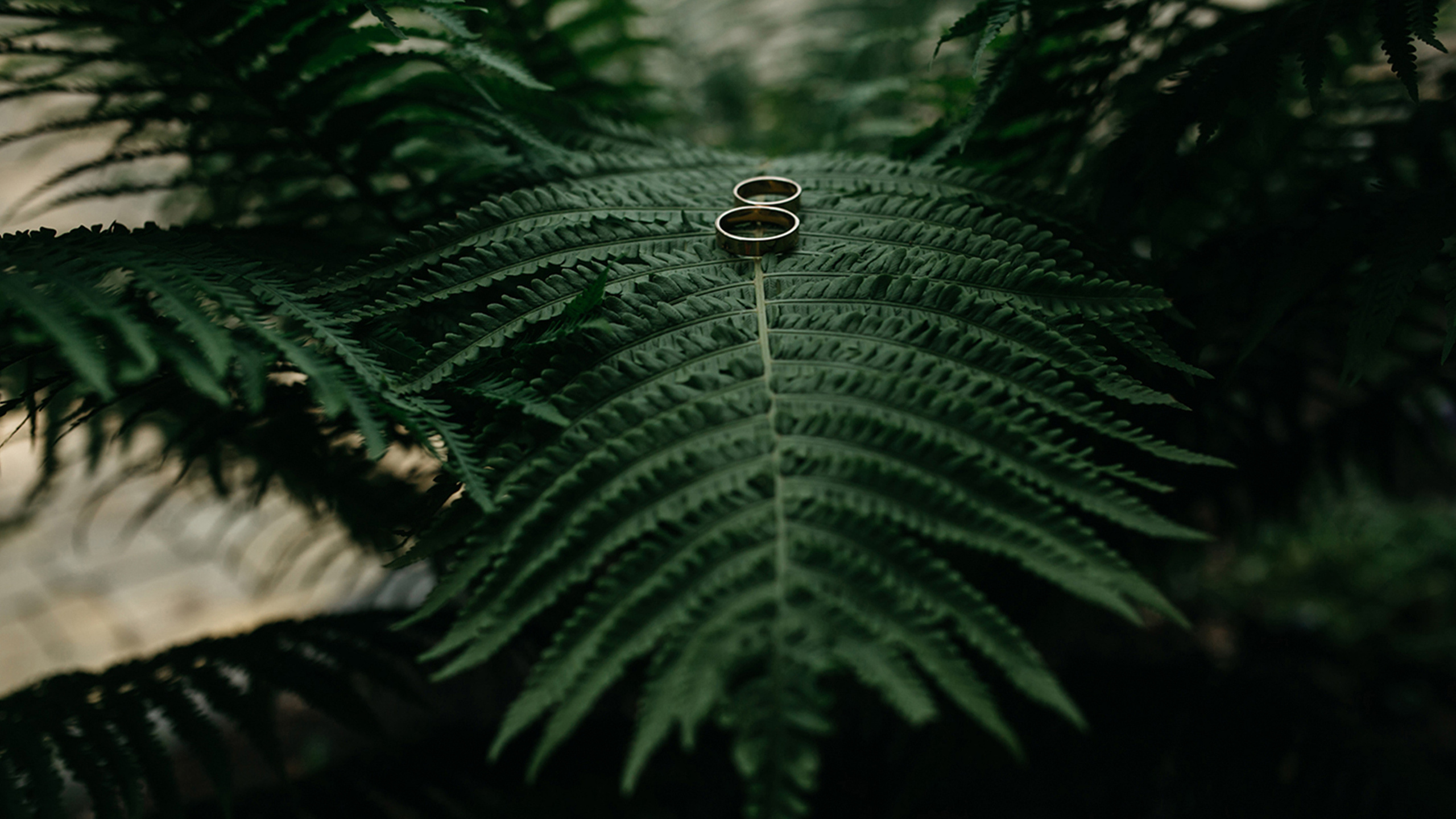 Фотограф ваших событий