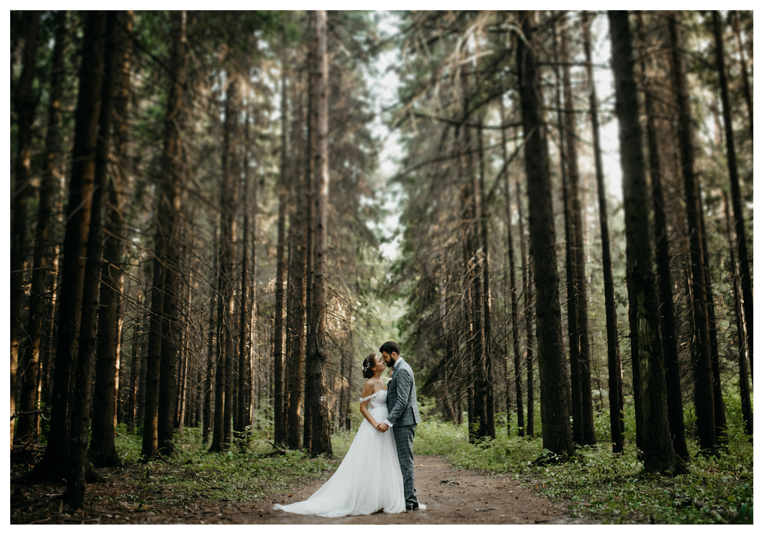 Свадебная фотосессия в Ярославле. Фотограф ваших событий