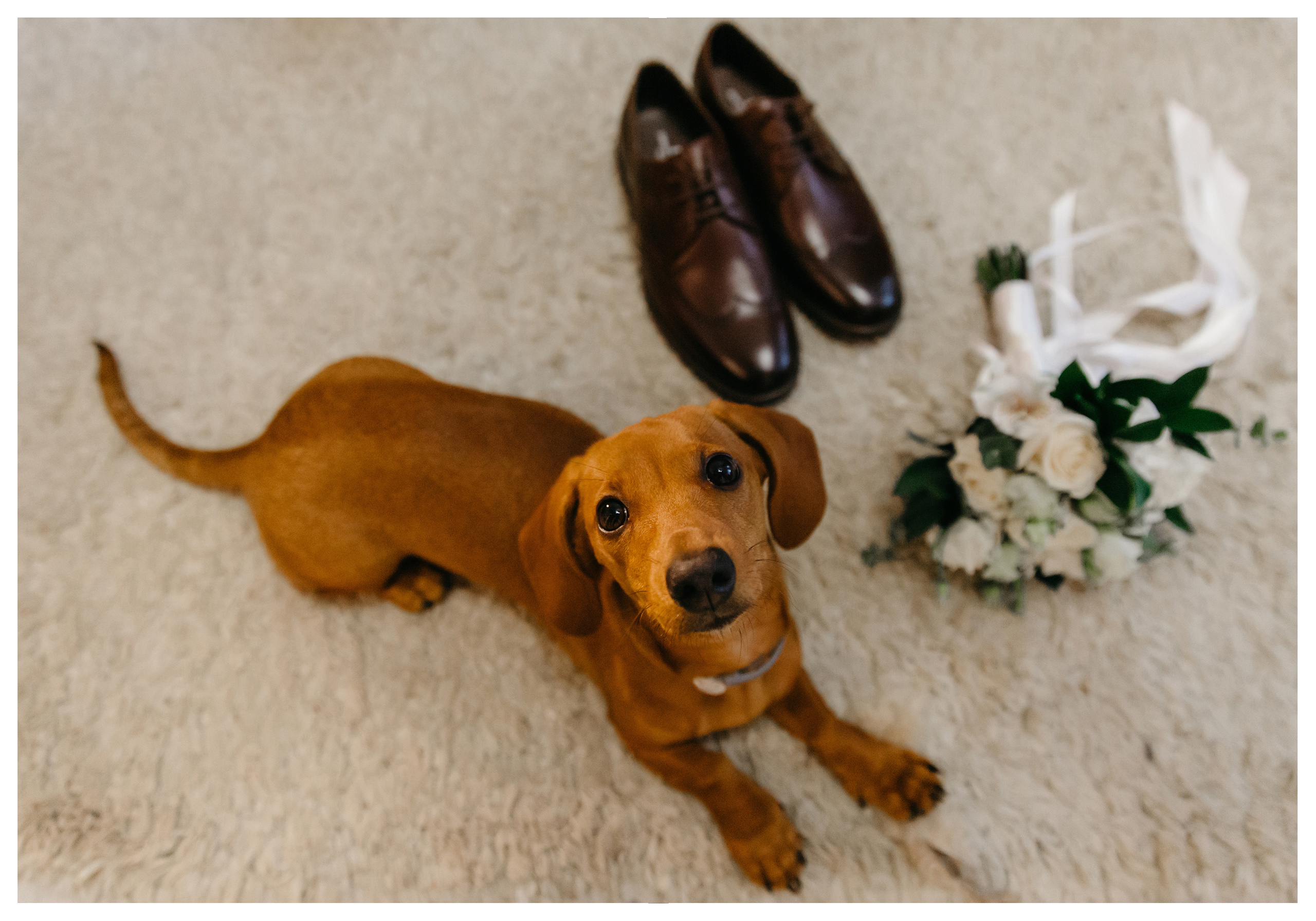 Свадебная фотосъемка. Фотограф ваших событий