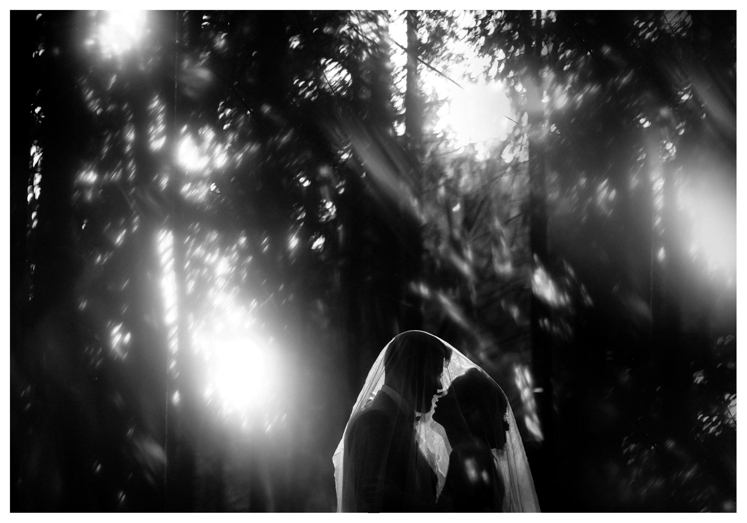 Свадебная фотосессия в Ярославле. Фотограф ваших событий