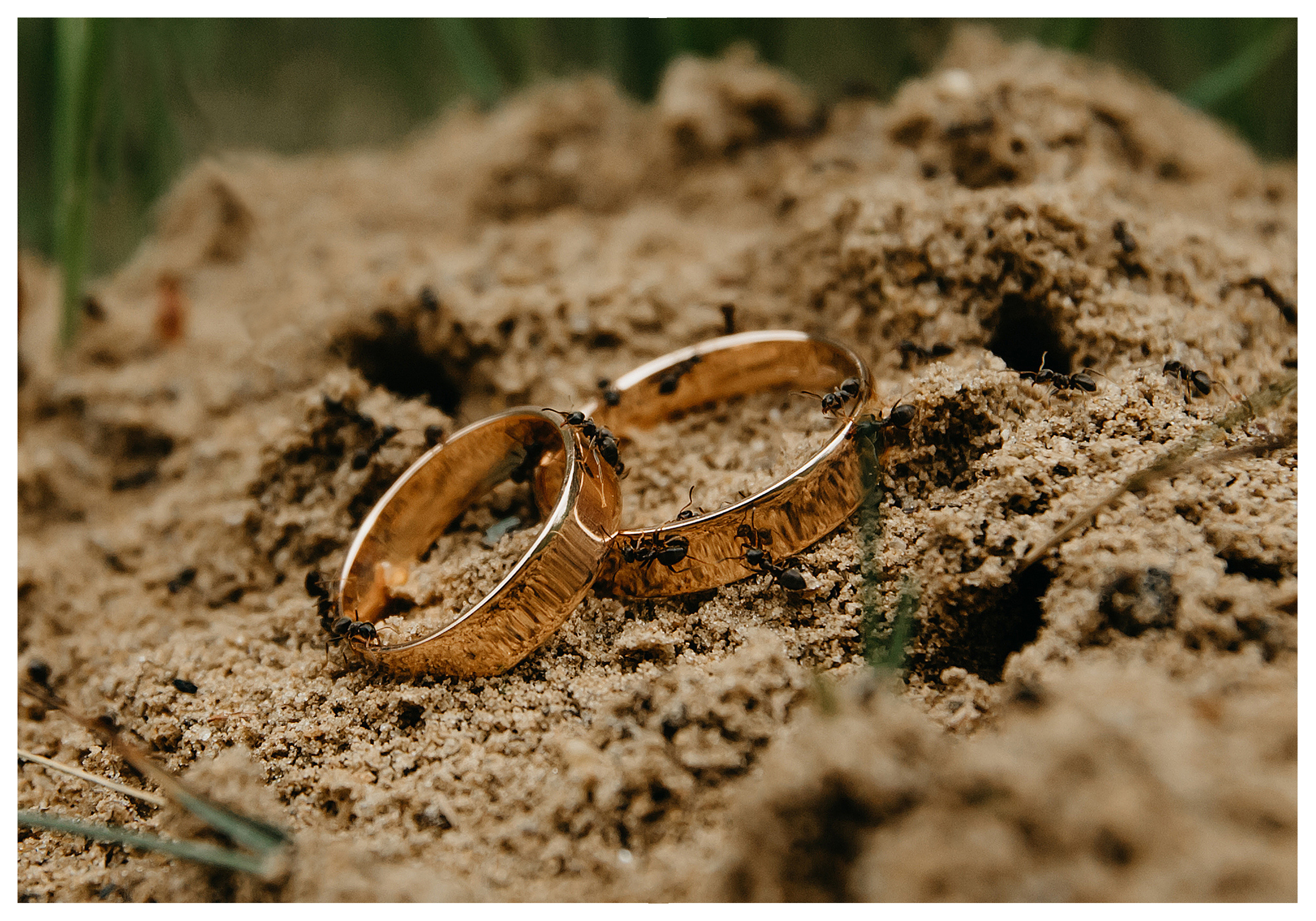 Свадебная фотосъемка. Фотограф ваших событий