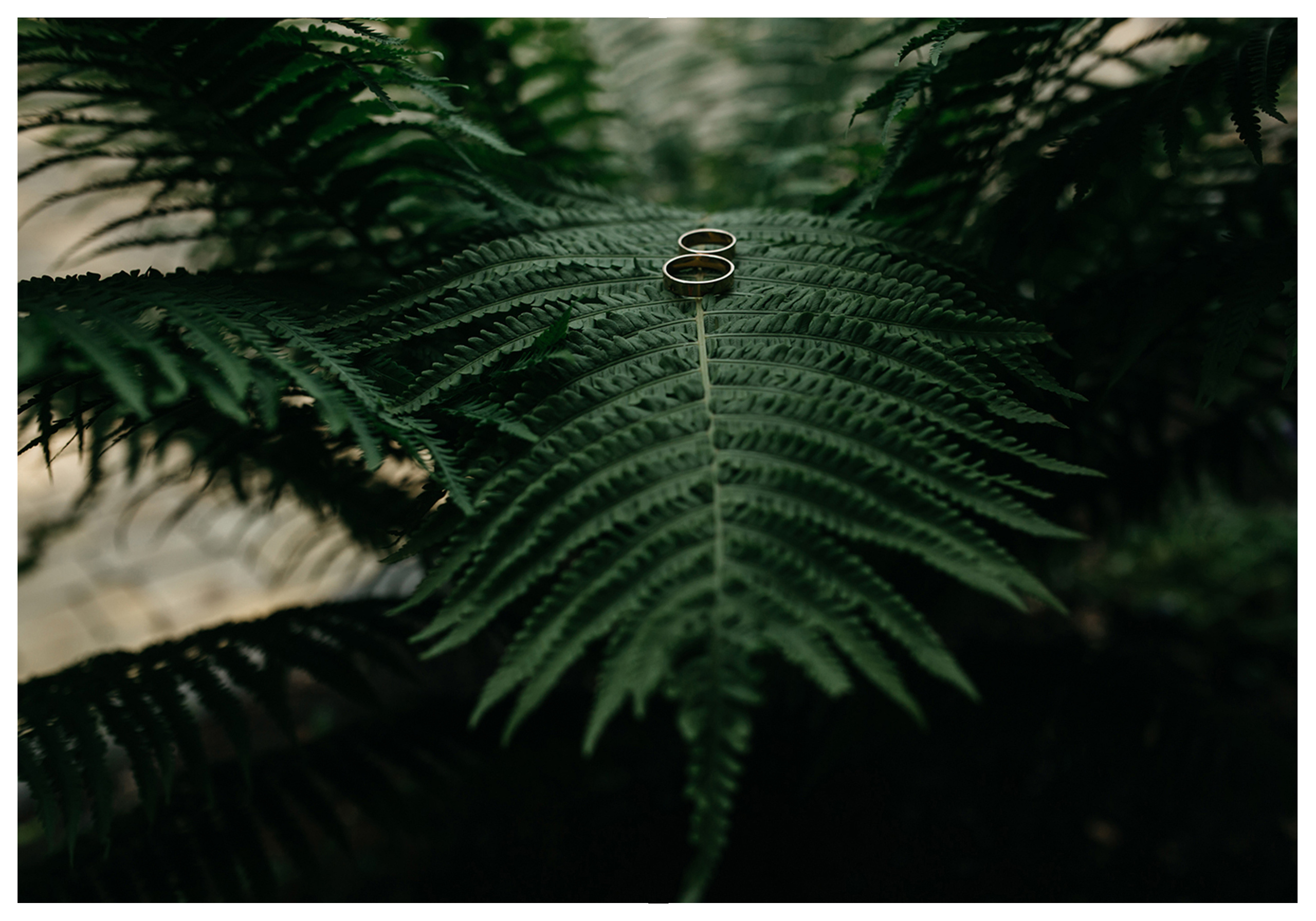 Свадебная фотосъемка. Фотограф ваших событий