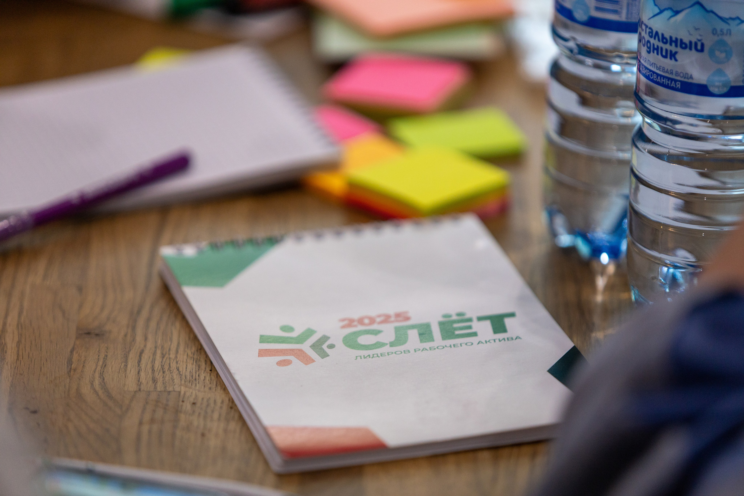 ЭФКО. СЛЁТ ЛИДЕРОВ РАБОЧЕГО АКТИВА. ДЕНЬ 3. Репортажный фотограф Анапа