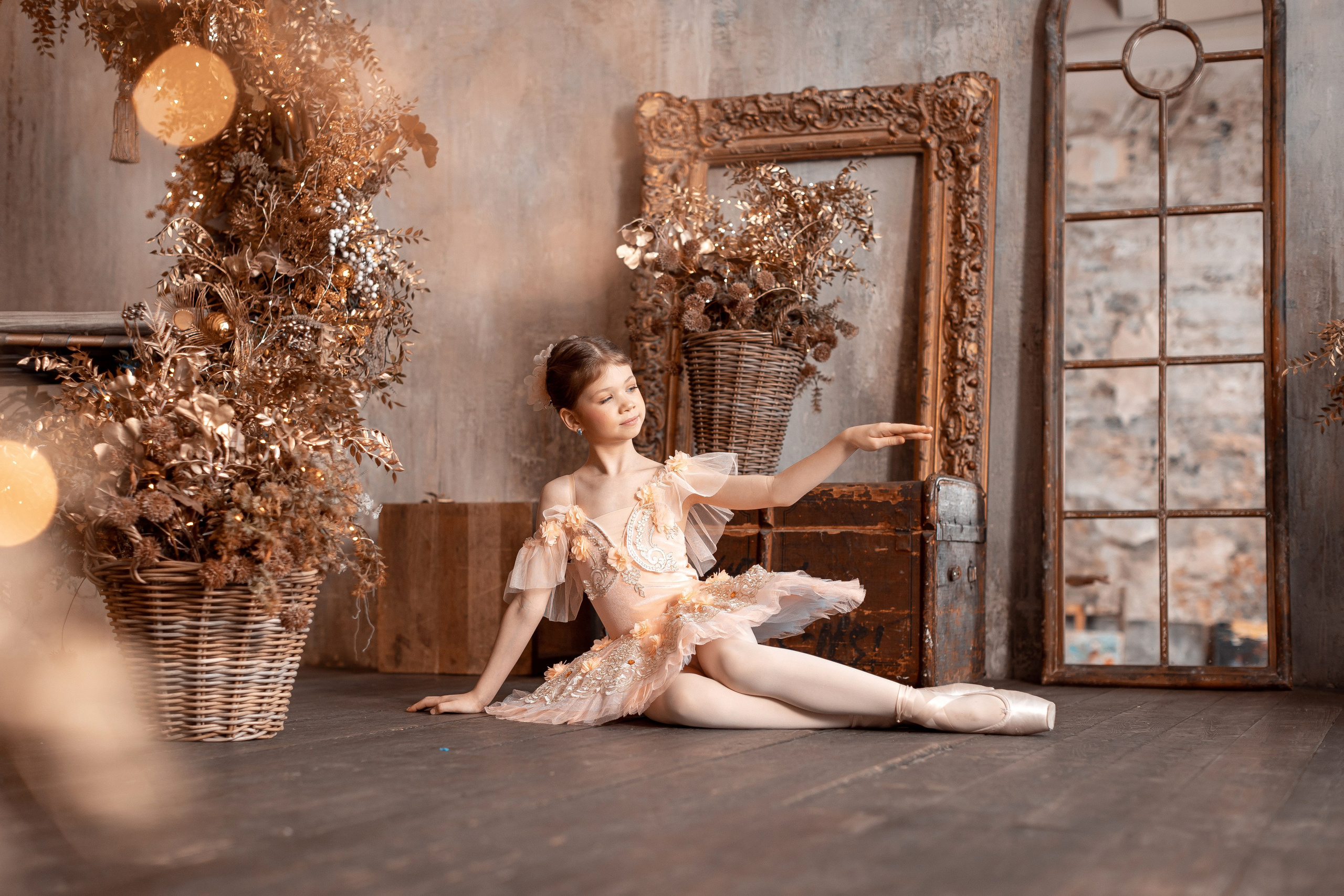 Балетная съёмка в интерьере. Балетный фотограф Алина Ханько — Душа Балета