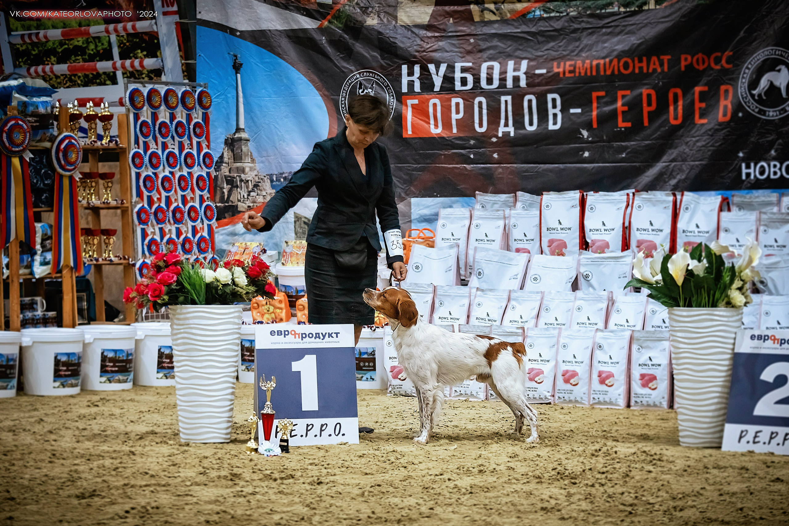 Фотосъемка собак, щенков, на выставках, фотограф анималист Россия воронеж. Питомник собак Акита, Хаски, Корги