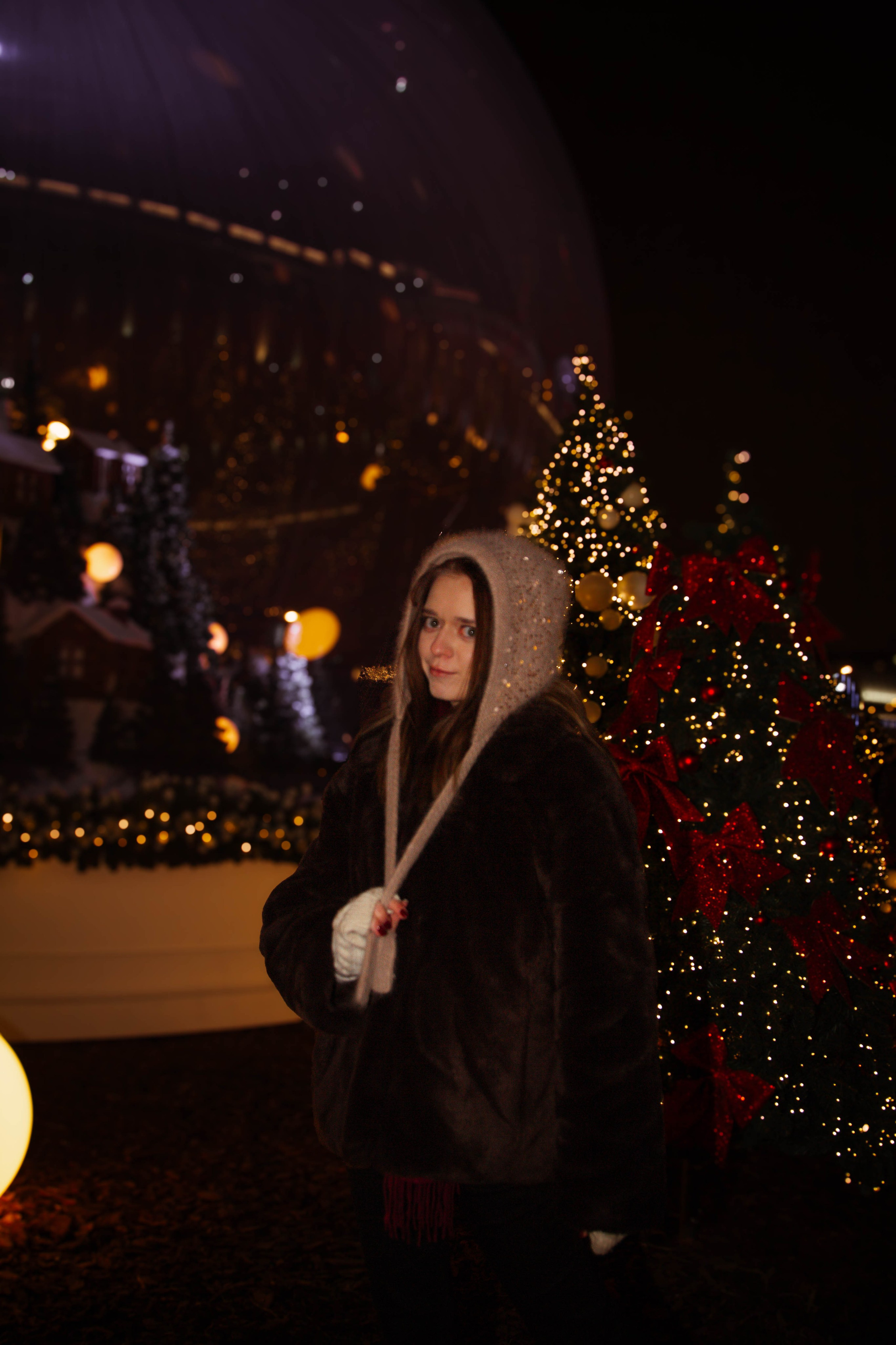 Новогодняя фотоссесия Екатерины. Ладно