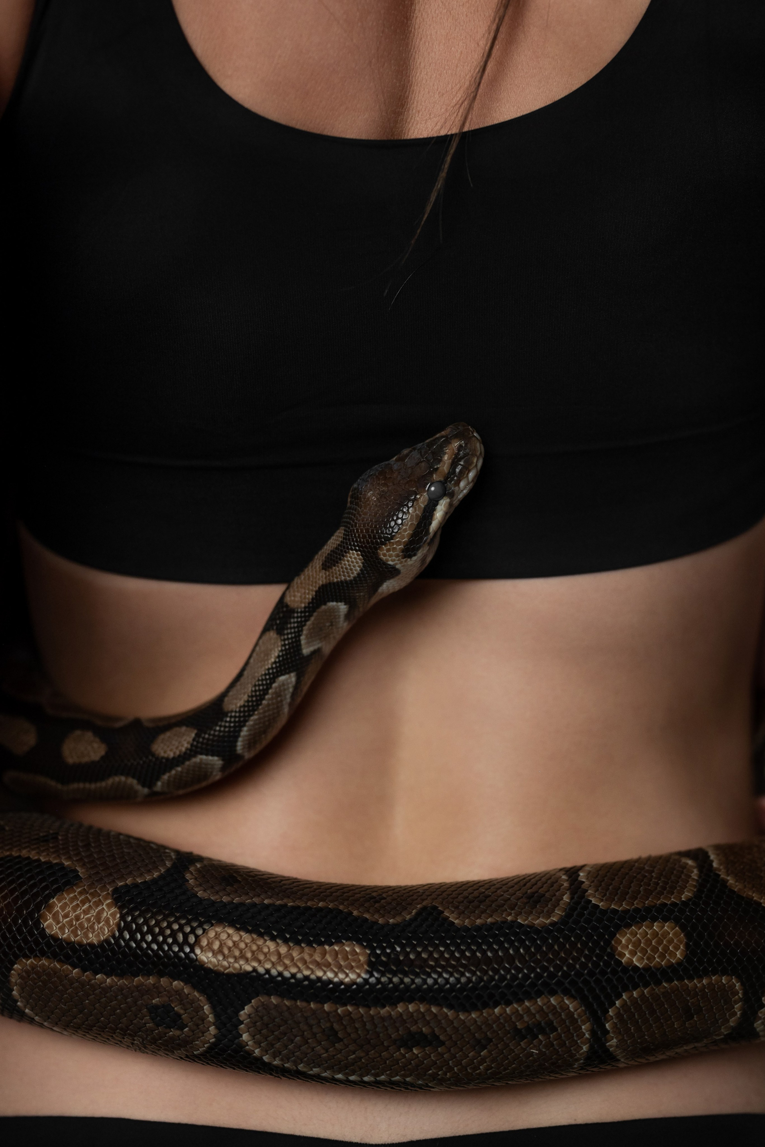 Фотопроект с питоном. Фотограф в городе Салават