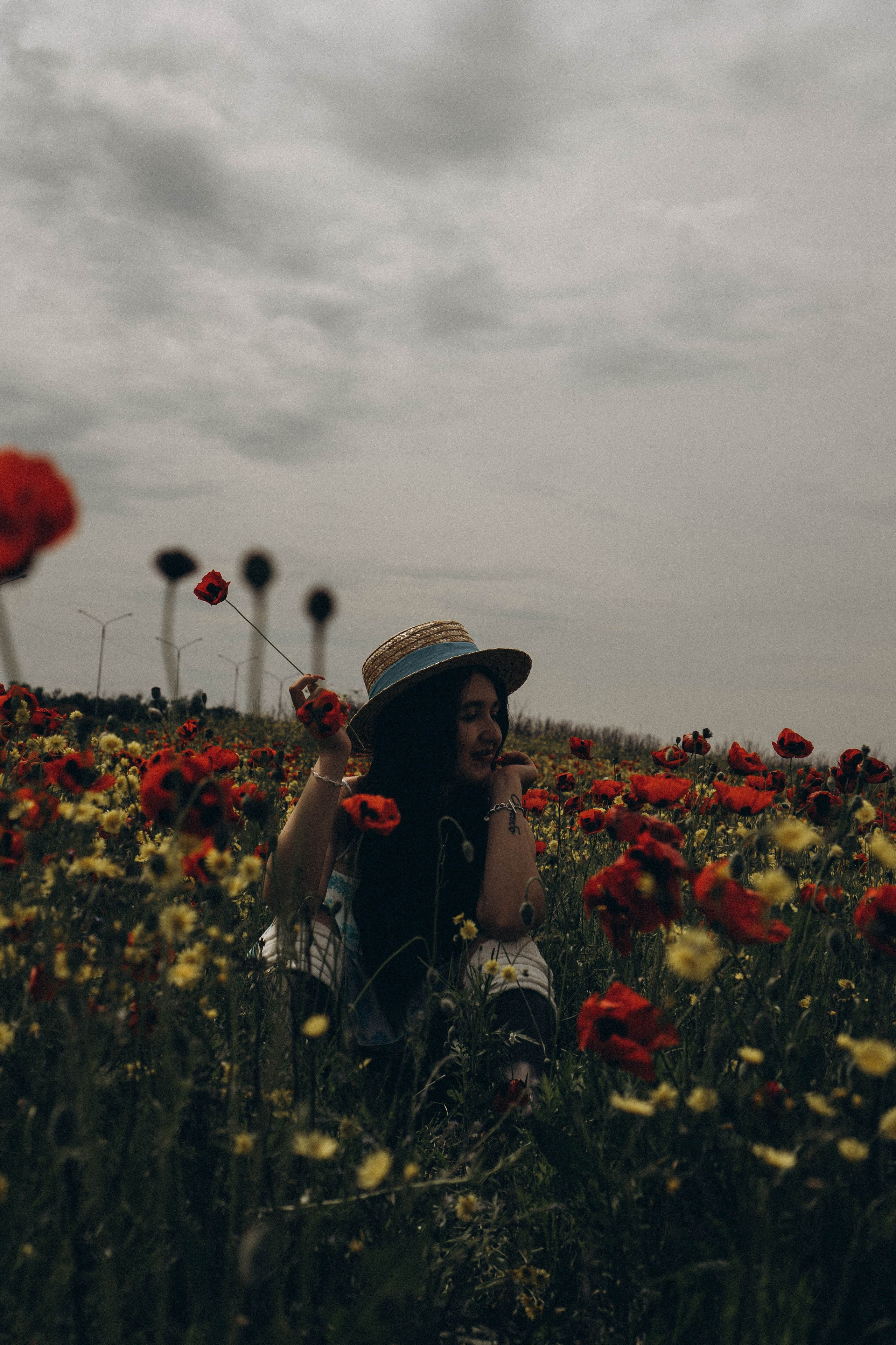 Цветочная поляна. Профессиональный фотограф, Санкт-Петербург — Виктория Богомолова