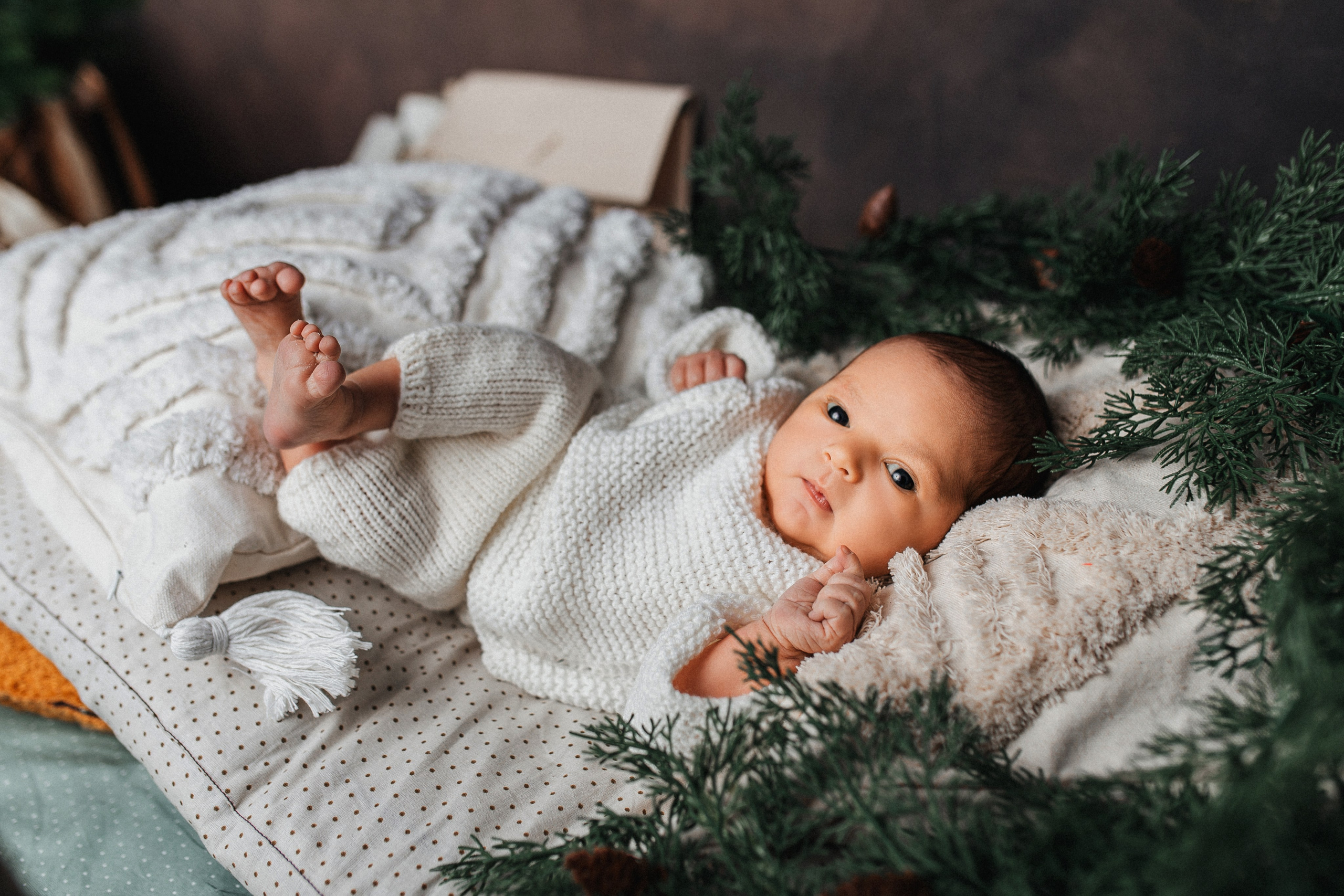Даниэль, пакет «Мини», 8 дней. Фотограф новорождённых Екатерина Боброва. Ульяновск