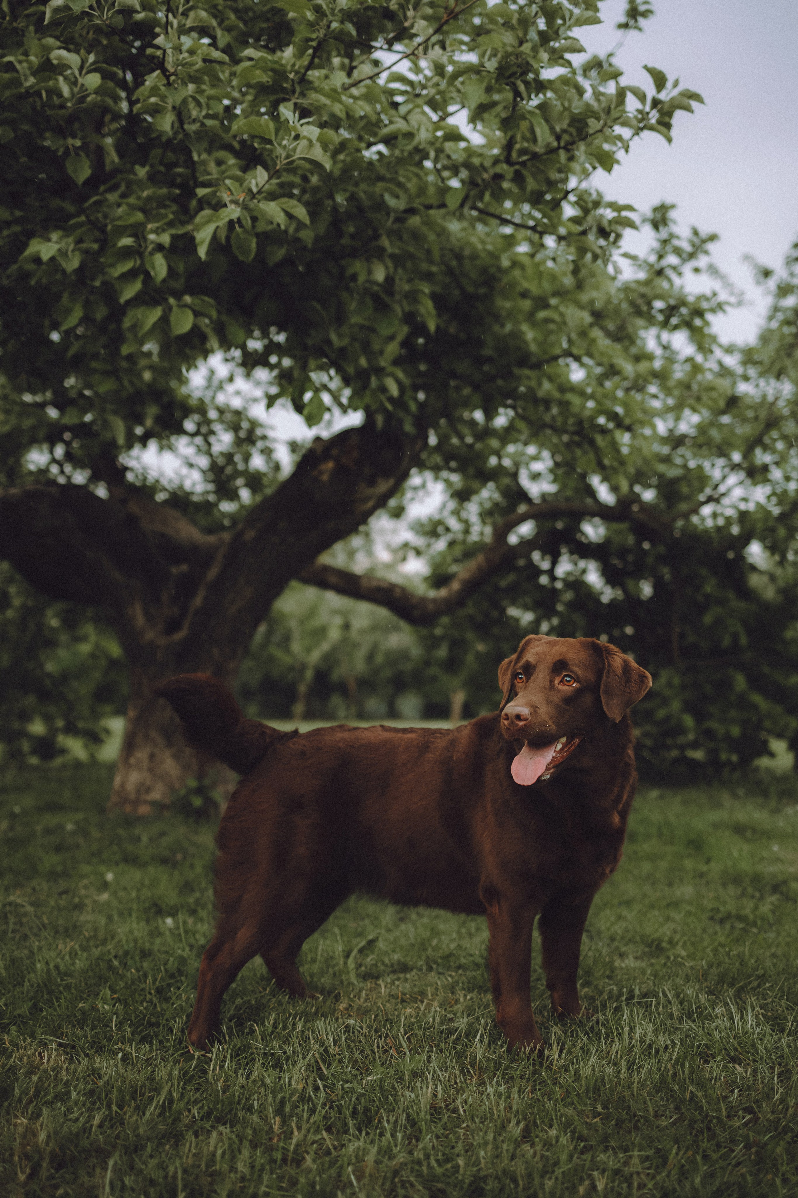 Катя, Ваня и Джеси