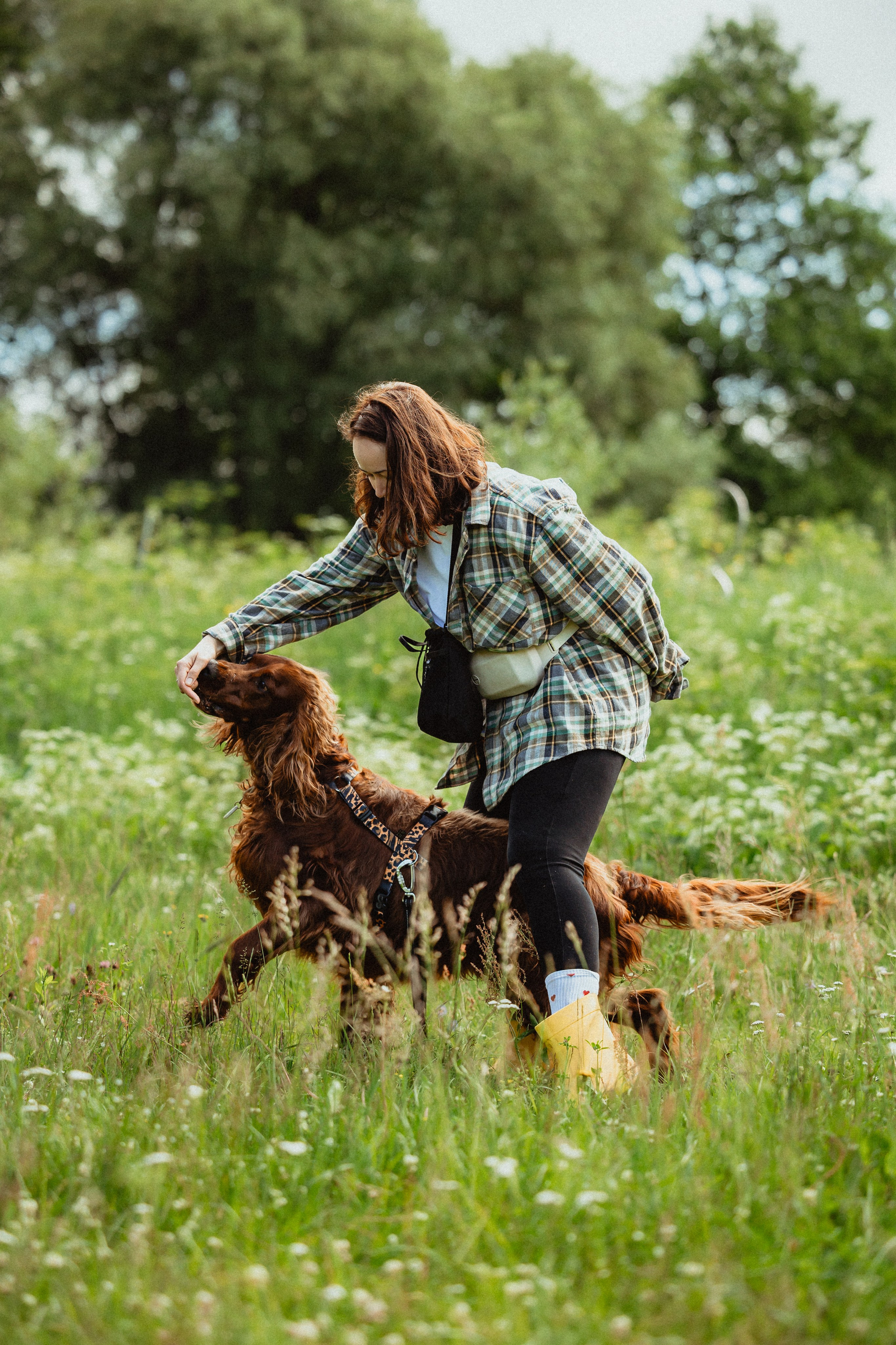 Выездной дог-тренинг от школы «Шерсть имею»