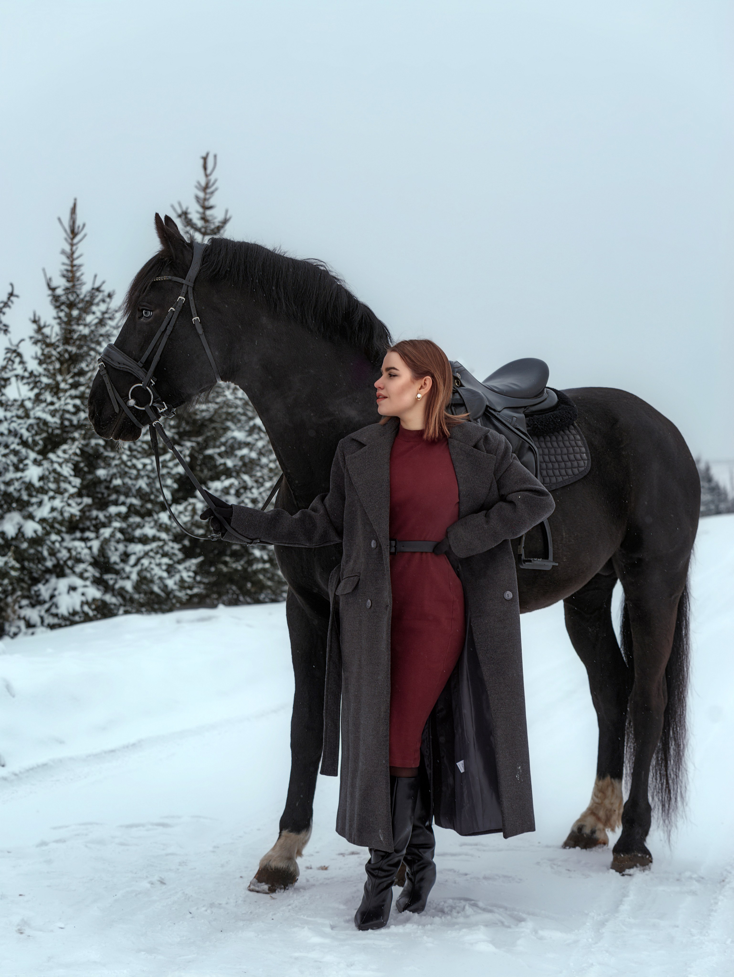 Лошади Емельяново. Конный фотограф в Красноярске — Любовь Похабова
