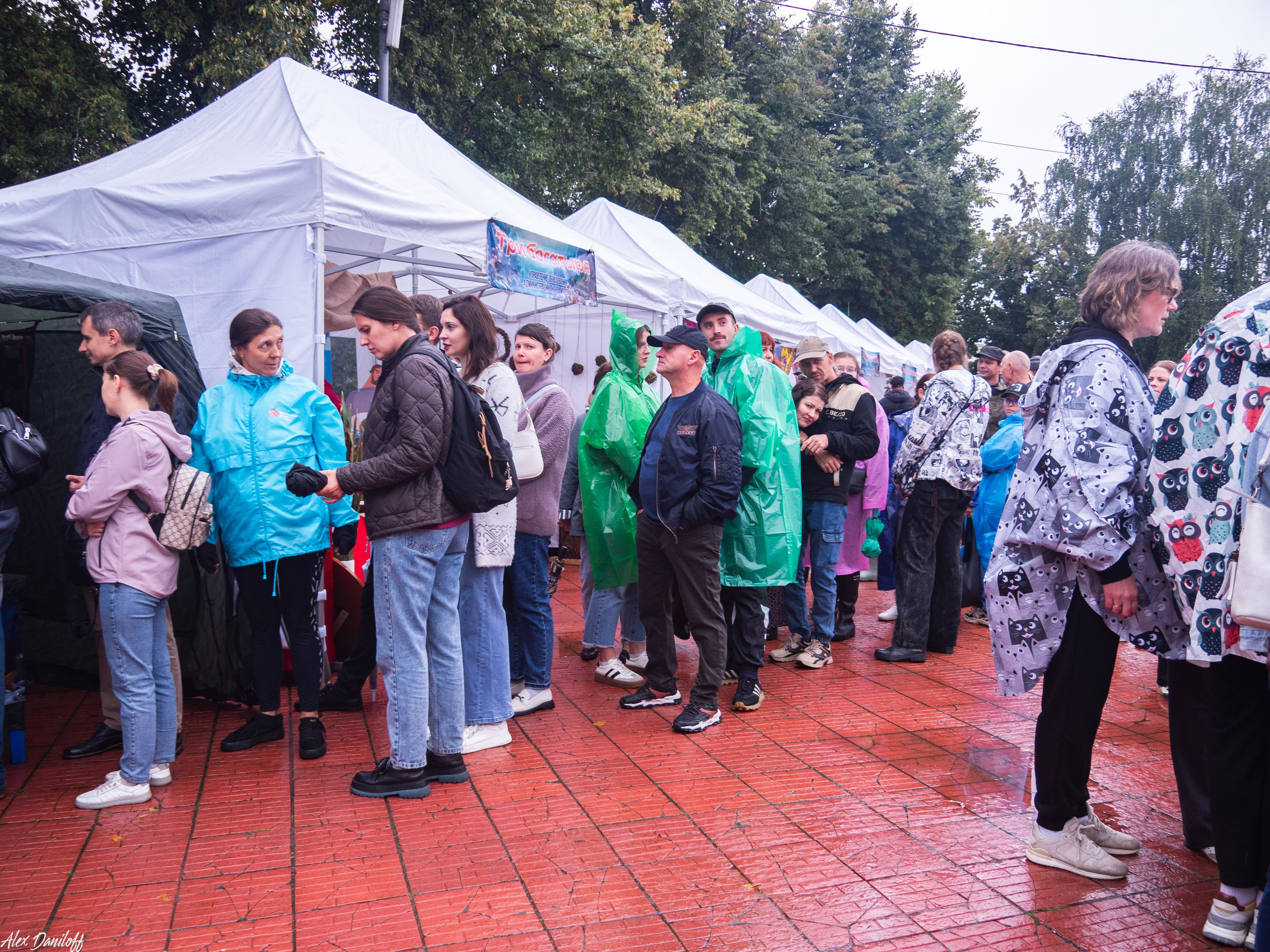 День города Муром 2025. Муром-Инфо. Новости культуры, образования, спорта в городе Муром