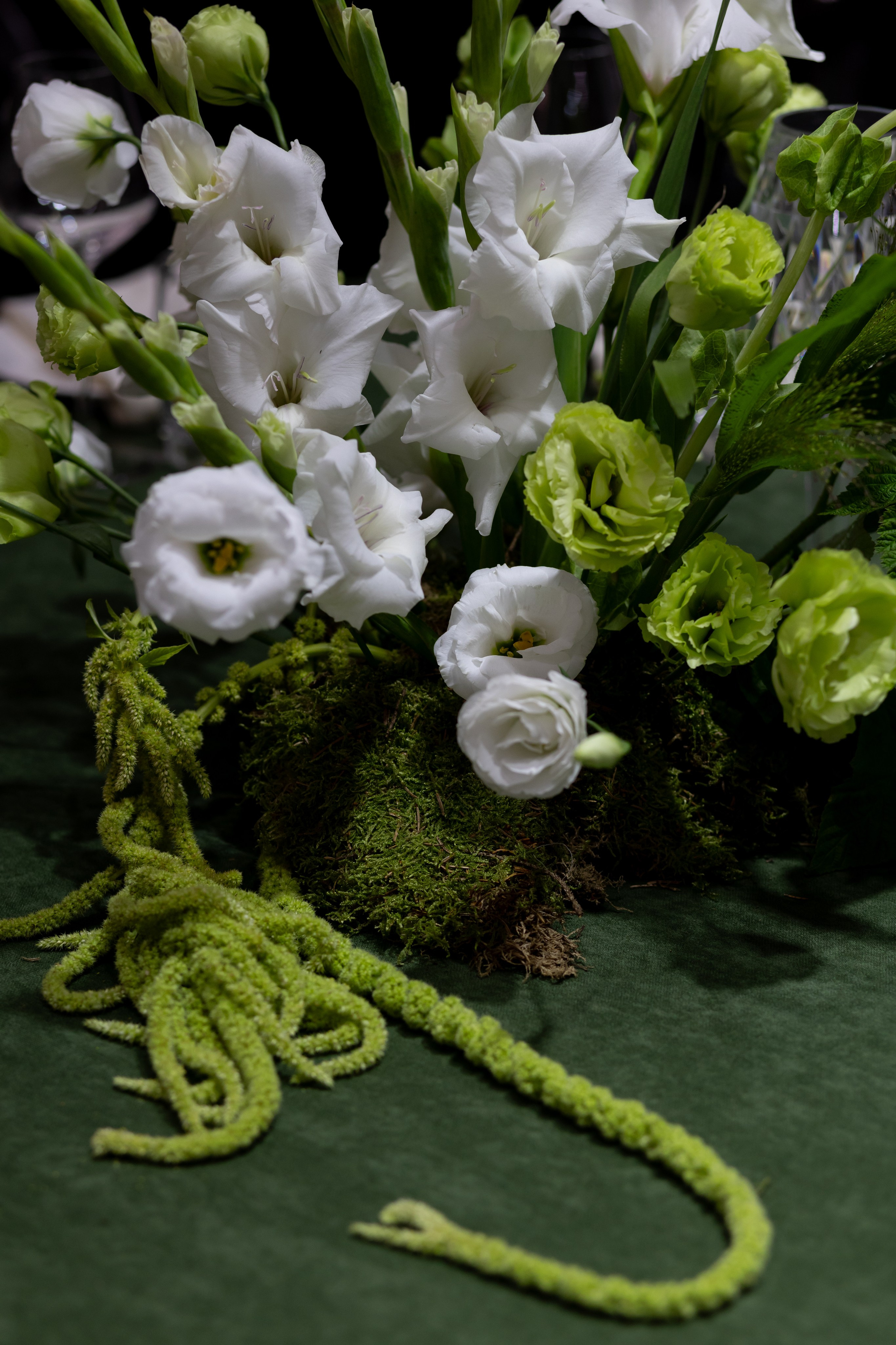 Василий и Вероника. Фотограф Екатеринбург