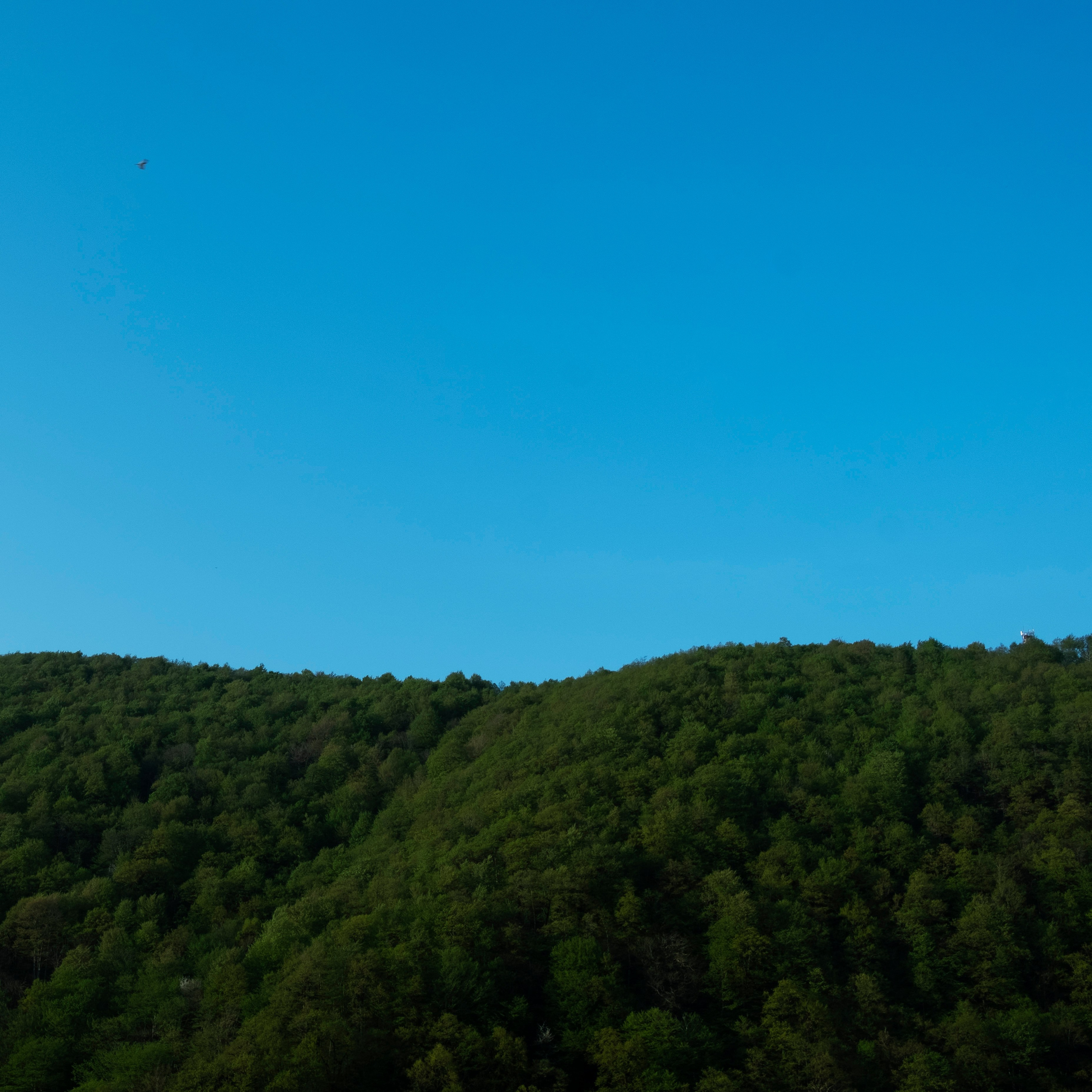 Сочи, 2022. Портретный фотограф в Москве Евгения Яковенко