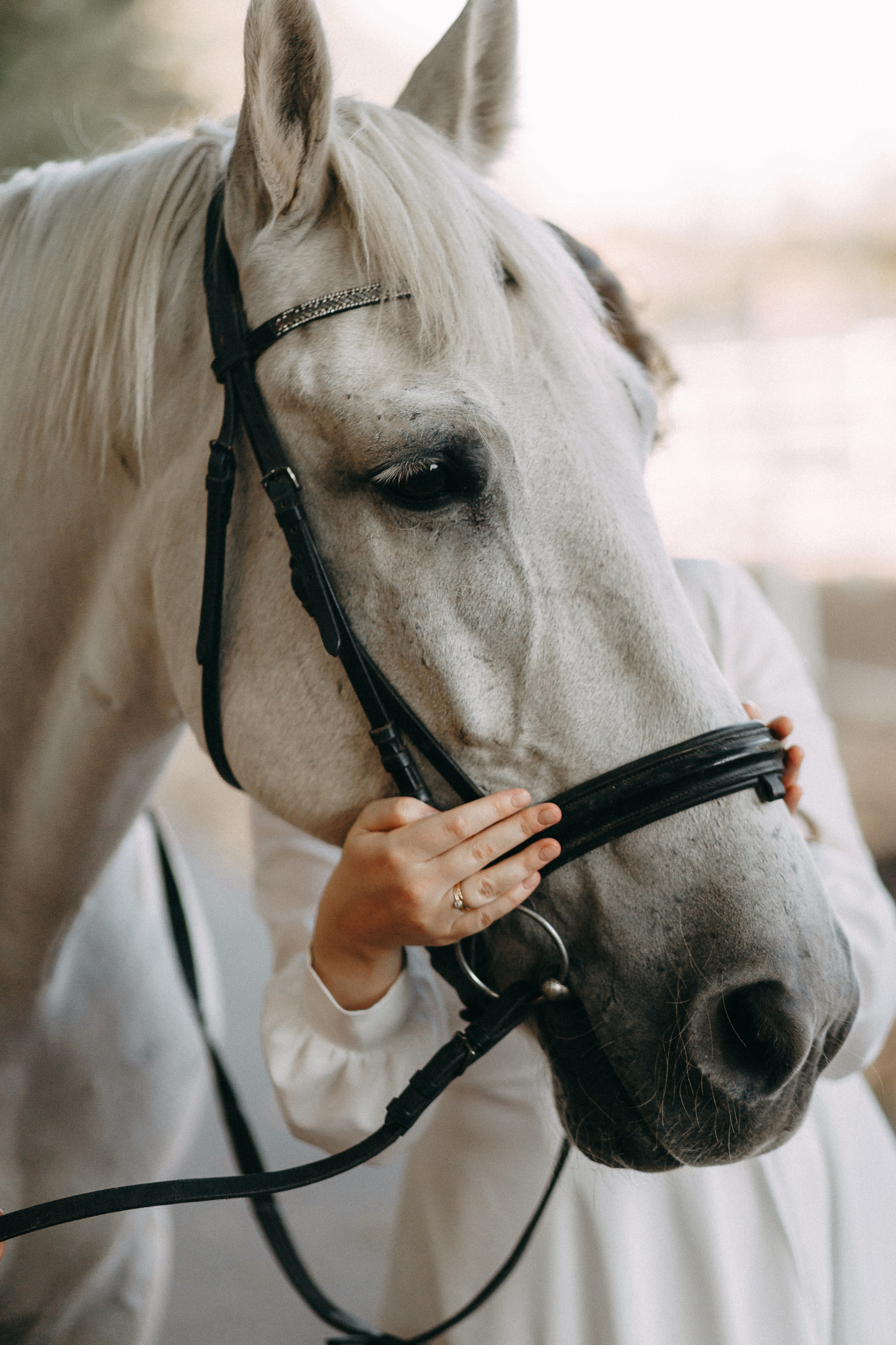 Свадьба Наталья и Константин. Фотограф Алексей Кутырёв