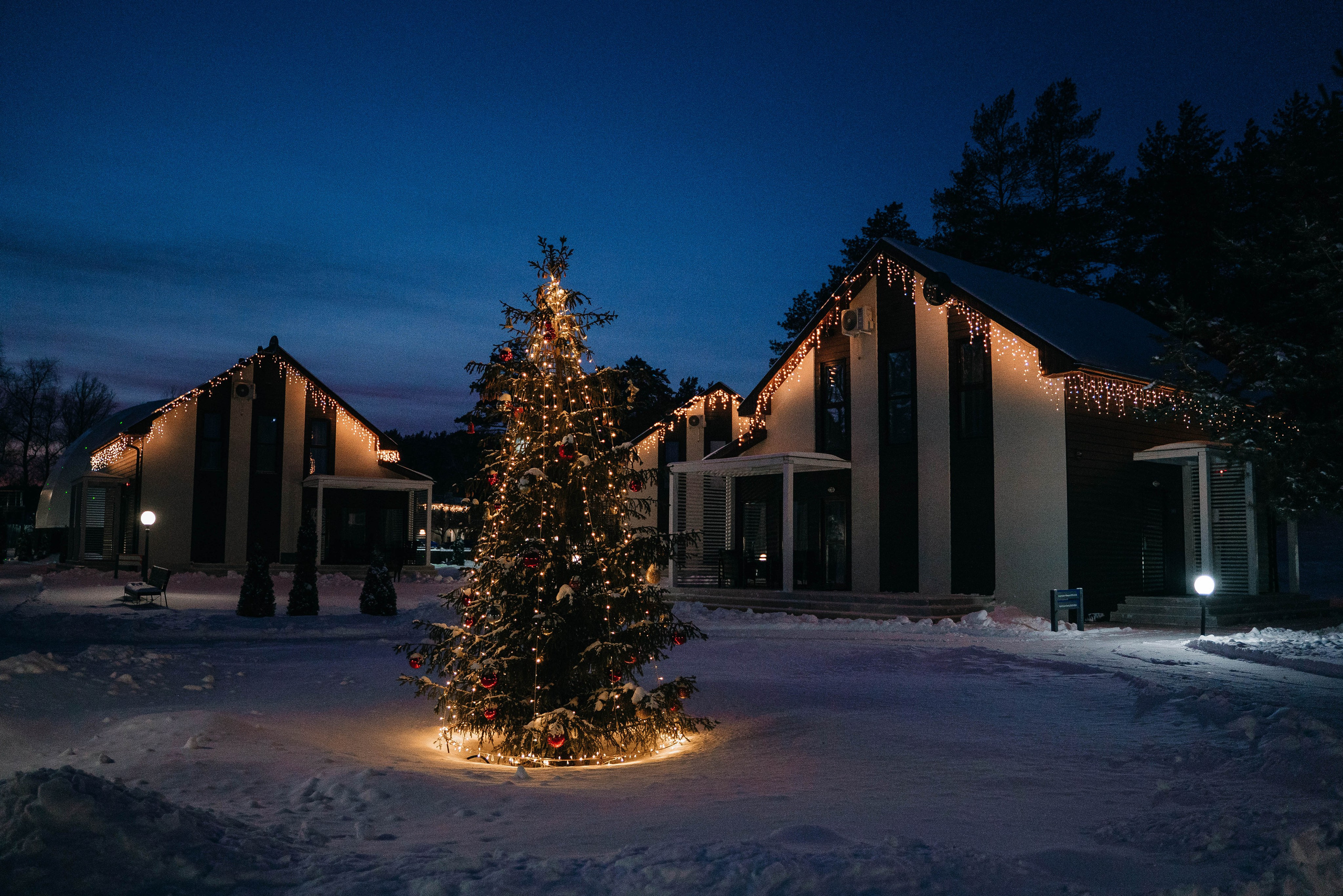 Корпоратив в «SOSNOVOE Family Club» в Царевщине. Фотограф Сергей Логинов