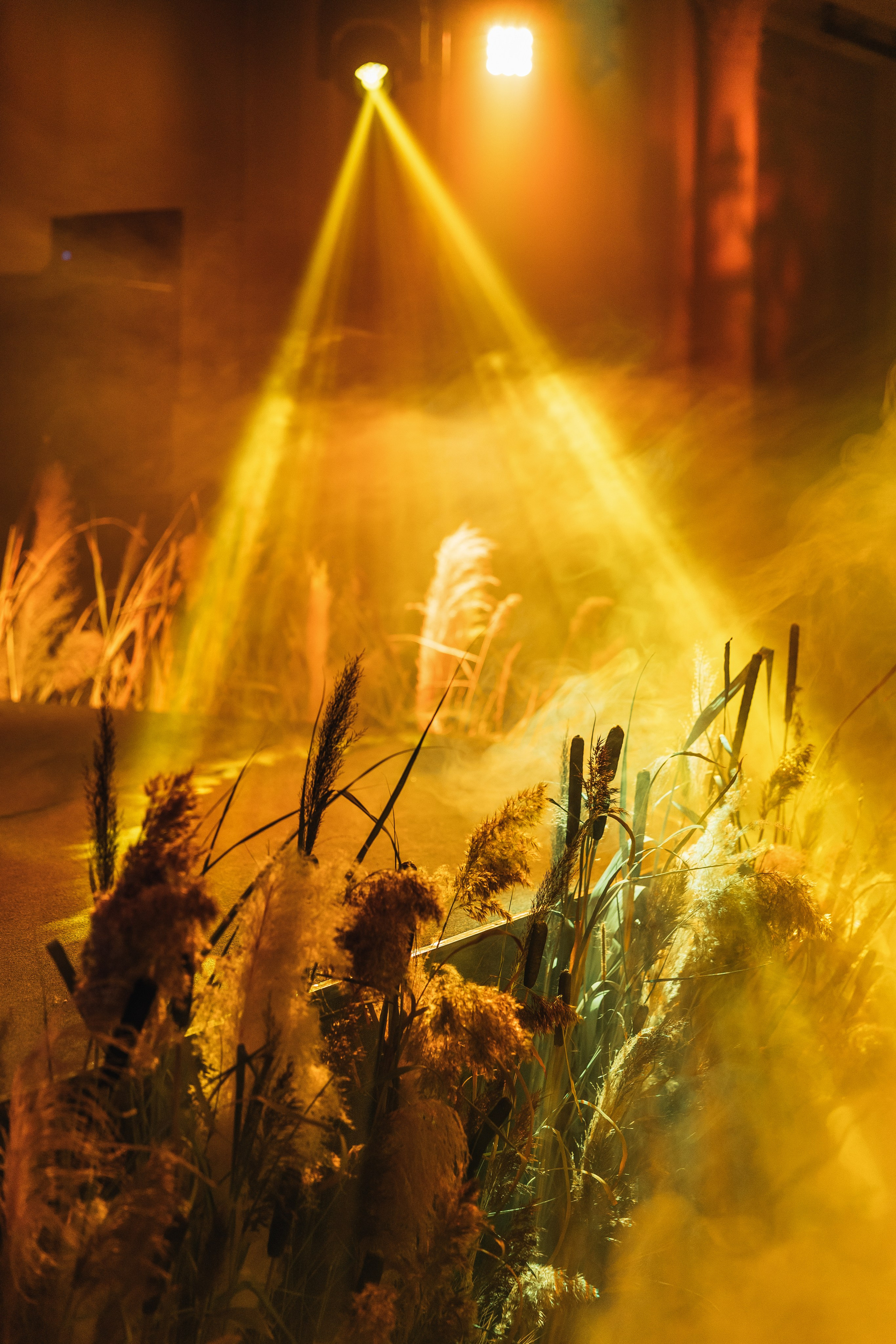 МЕГАДЕВИЧНИК 8 марта. Портфолио свадебного фотографа. Роман Каргаполов