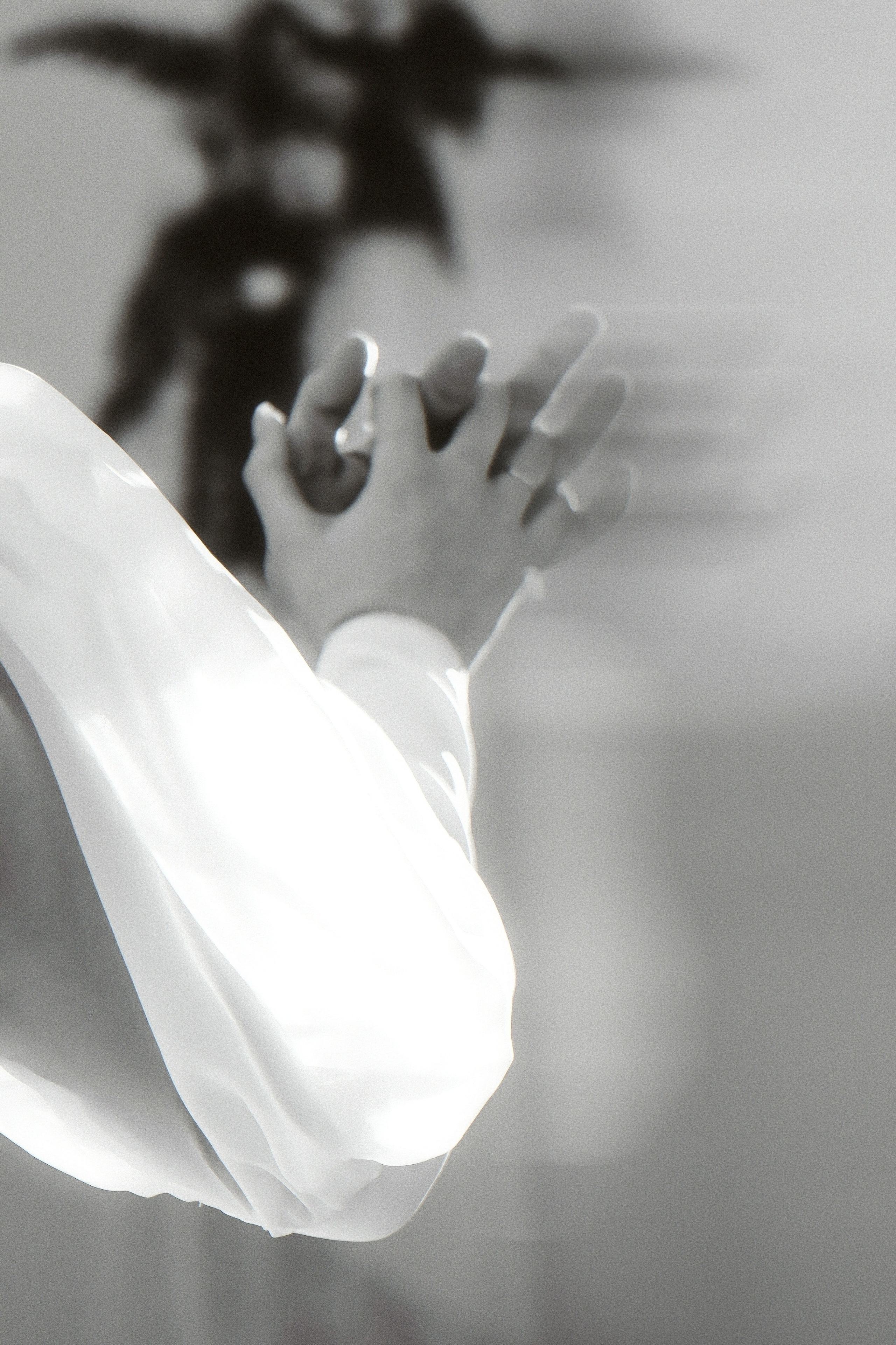 Sergey ∞ Alina. Фотограф Анна Веденеева