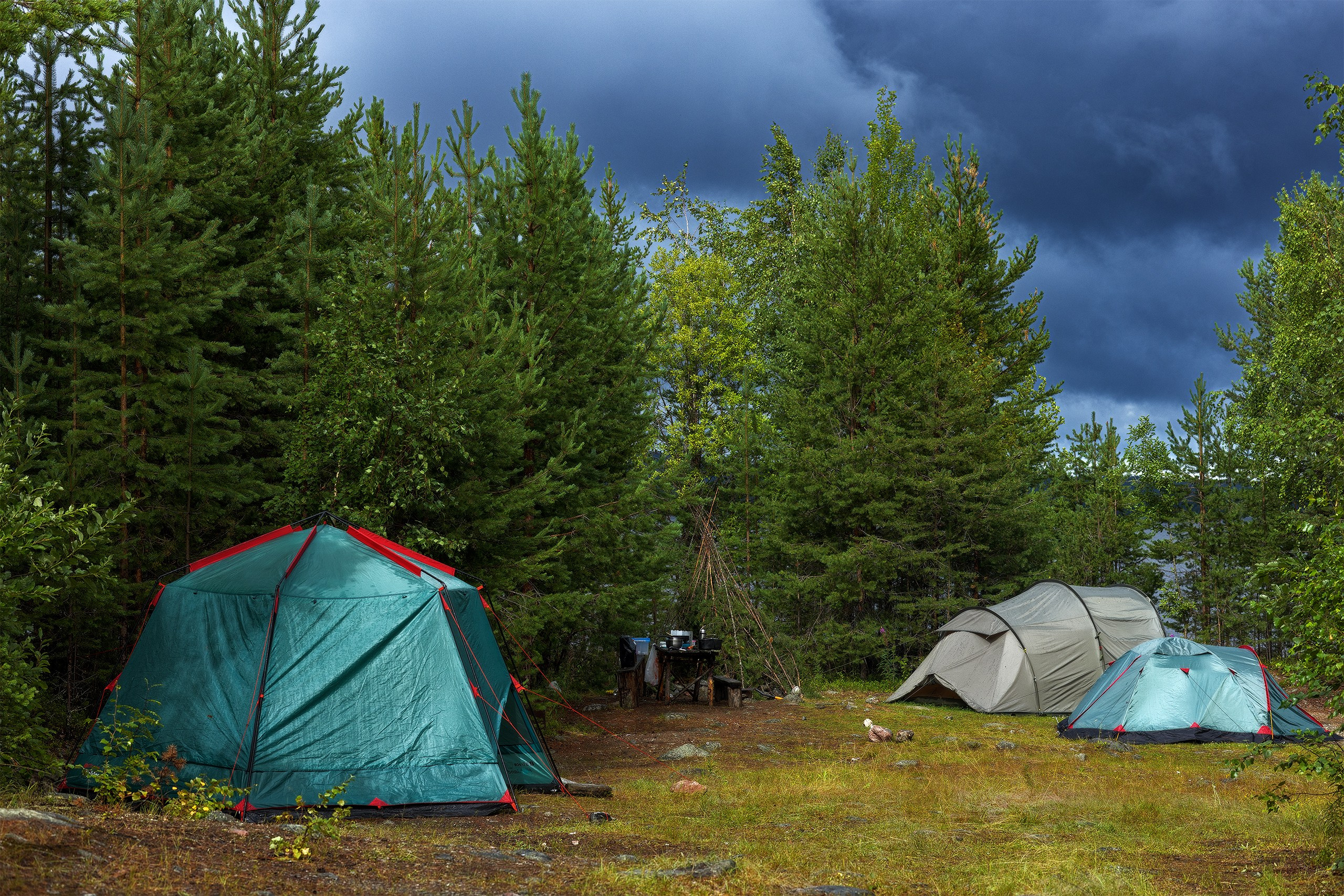 Пейзажи. Сайт фотографа Елены Михайловой. Фотосессии на пленэре в Сестрорецке