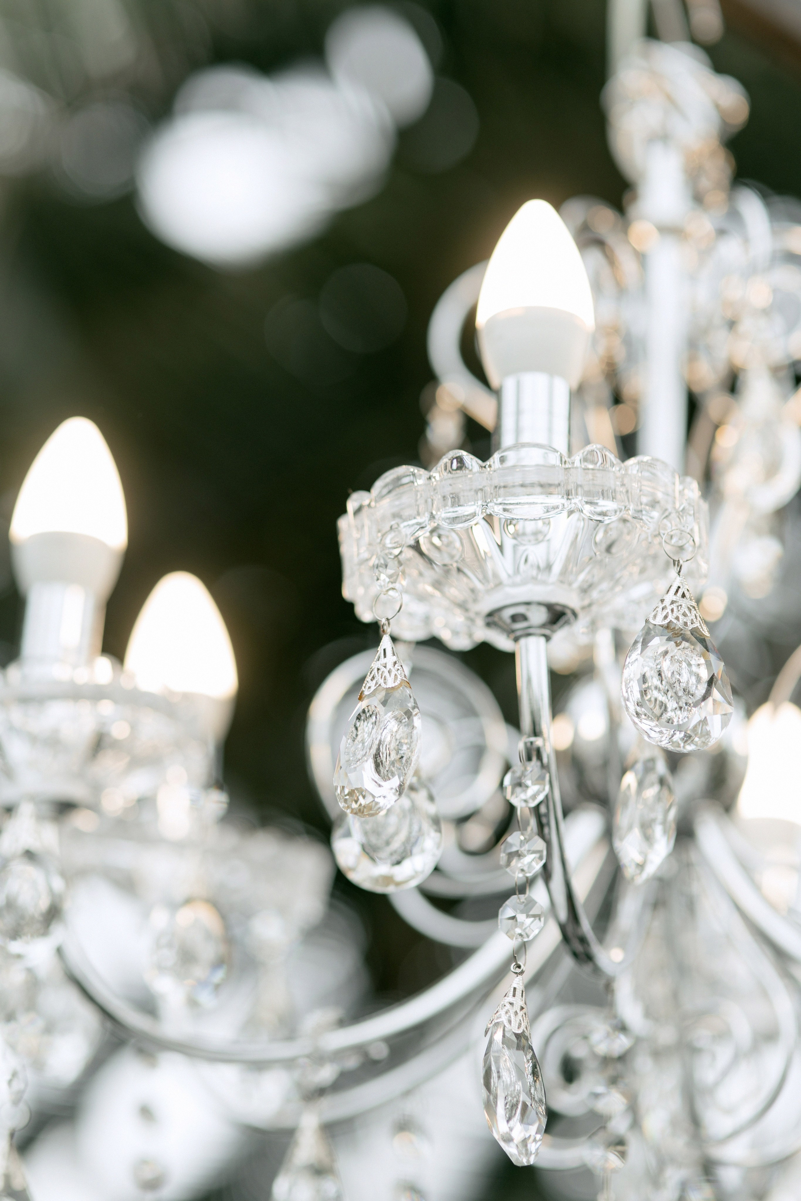 Оранжерея Таврического сада. Свадебный фотограф Москва