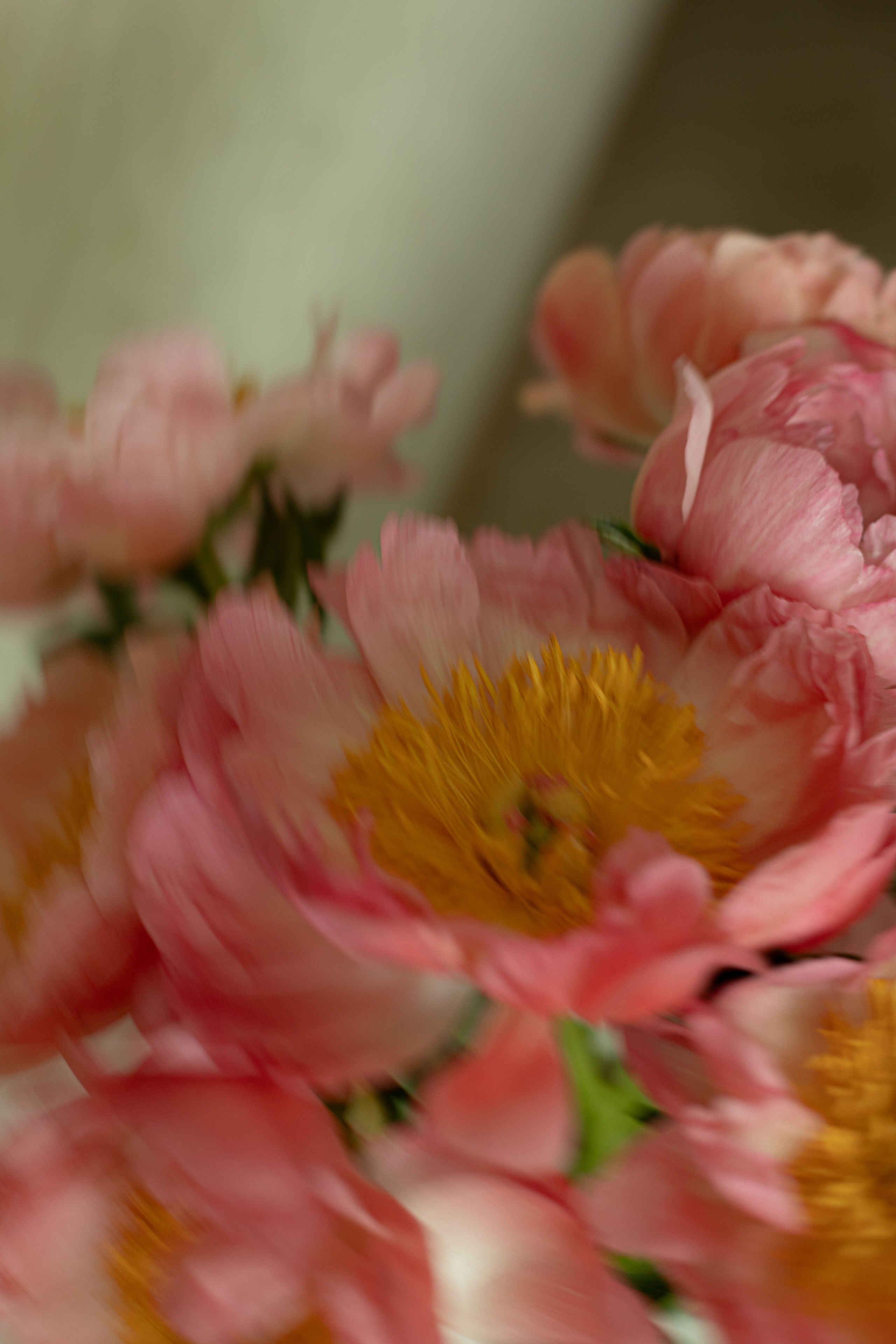 Предметная съёмка. Фотограф Анастасия Бобылева, Москва и Московская область